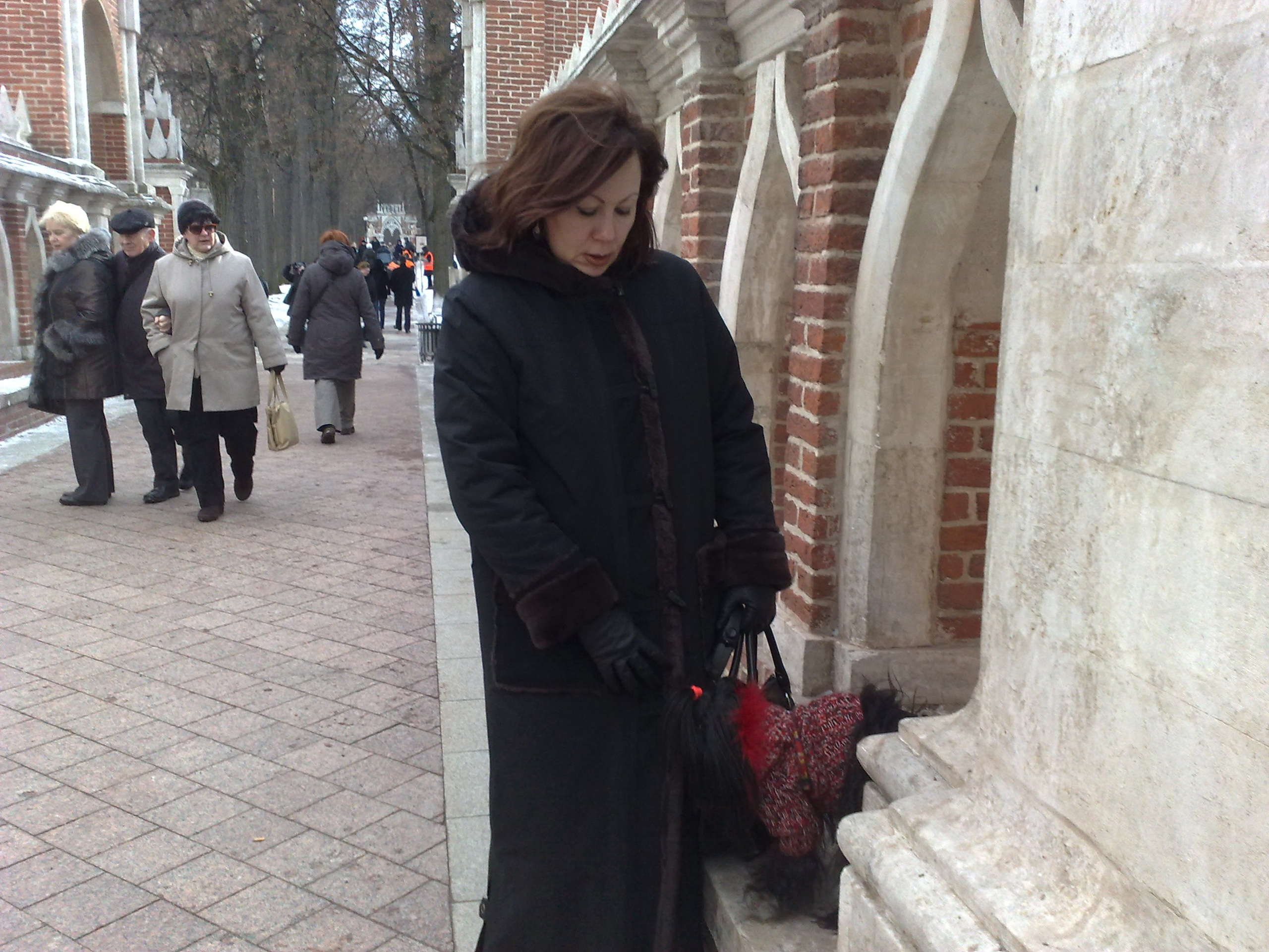 Царицино музей-усадьба. Питомник китайских хохлатых собак Poale Ell: купить щенка в питомнике