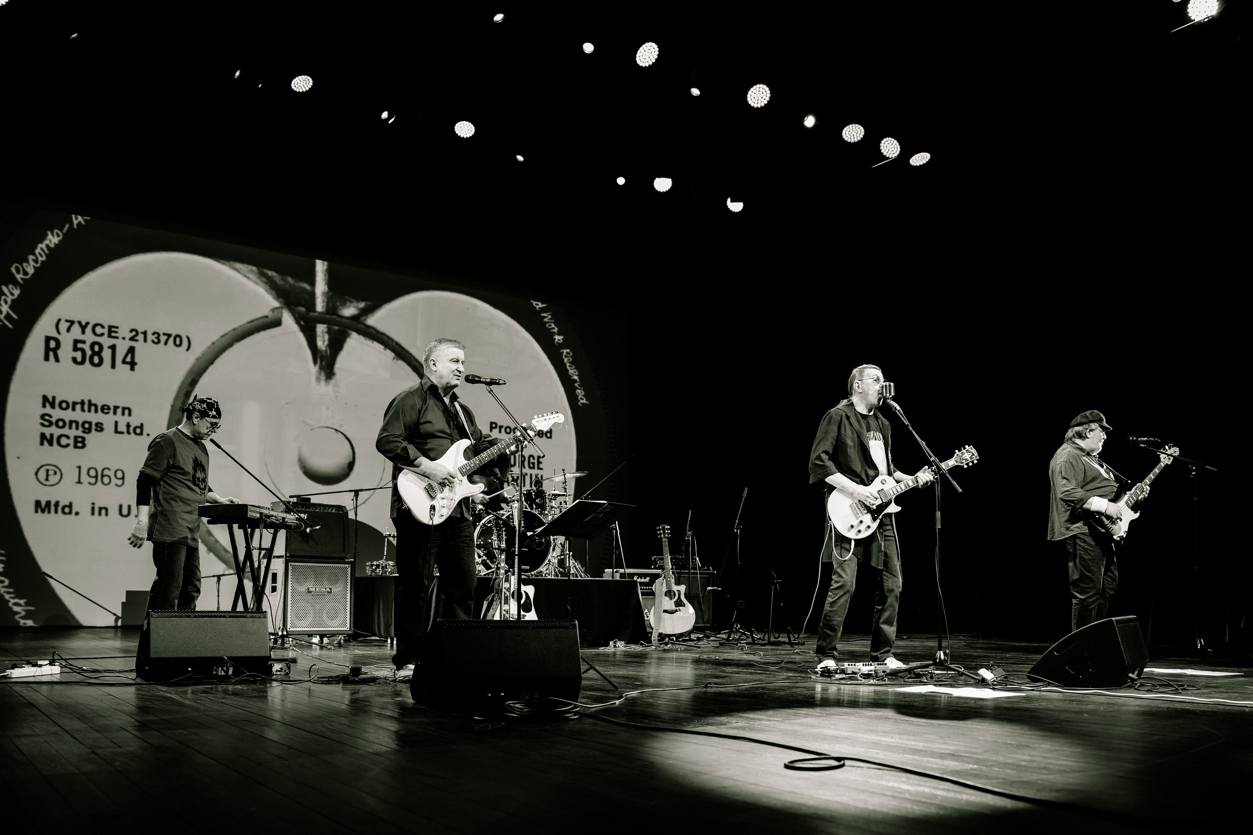 Виниловая дорога. Фотограф Петрова Мария