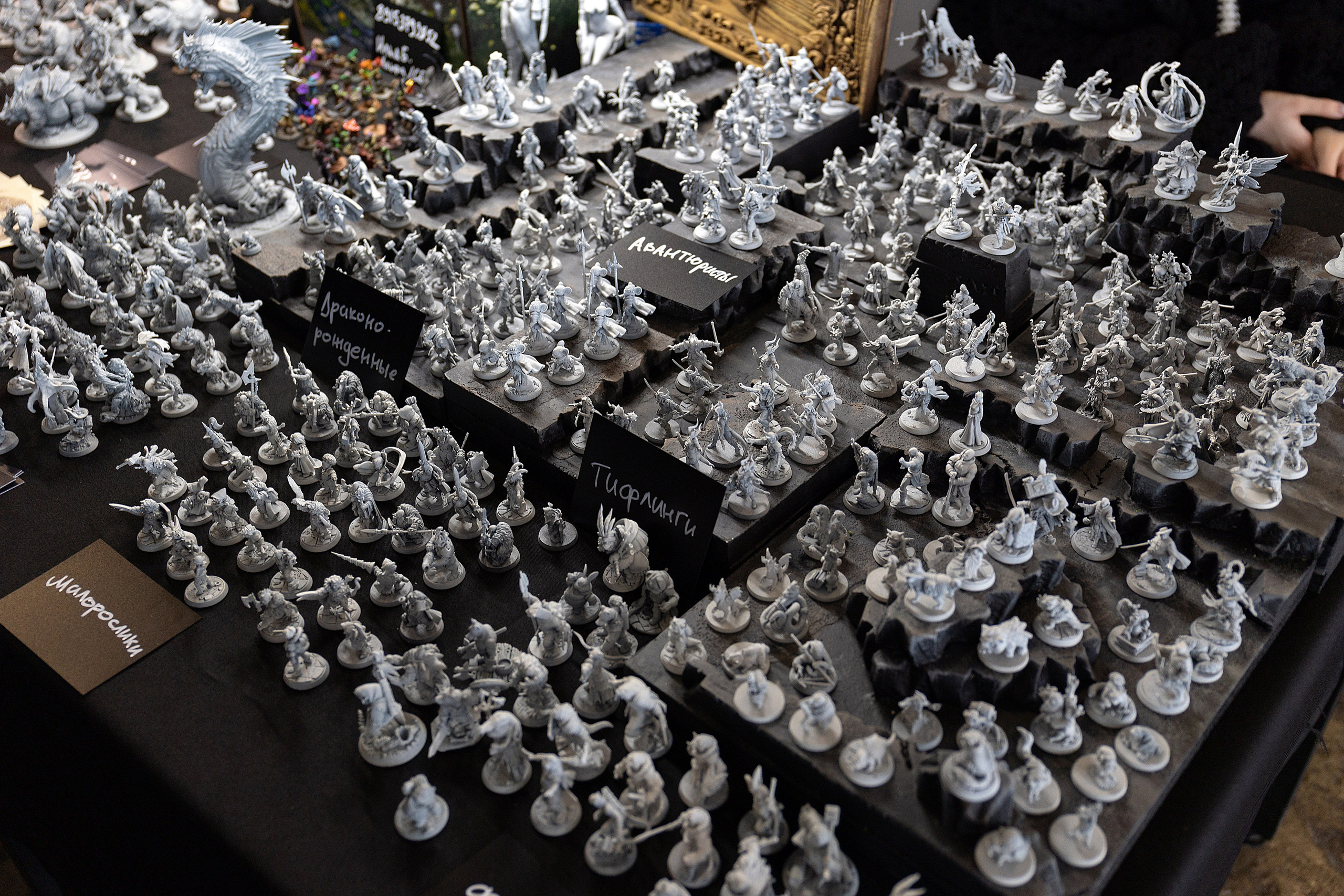 SnowDice | Санкт-Петербург, 2025. Репортажный фотограф