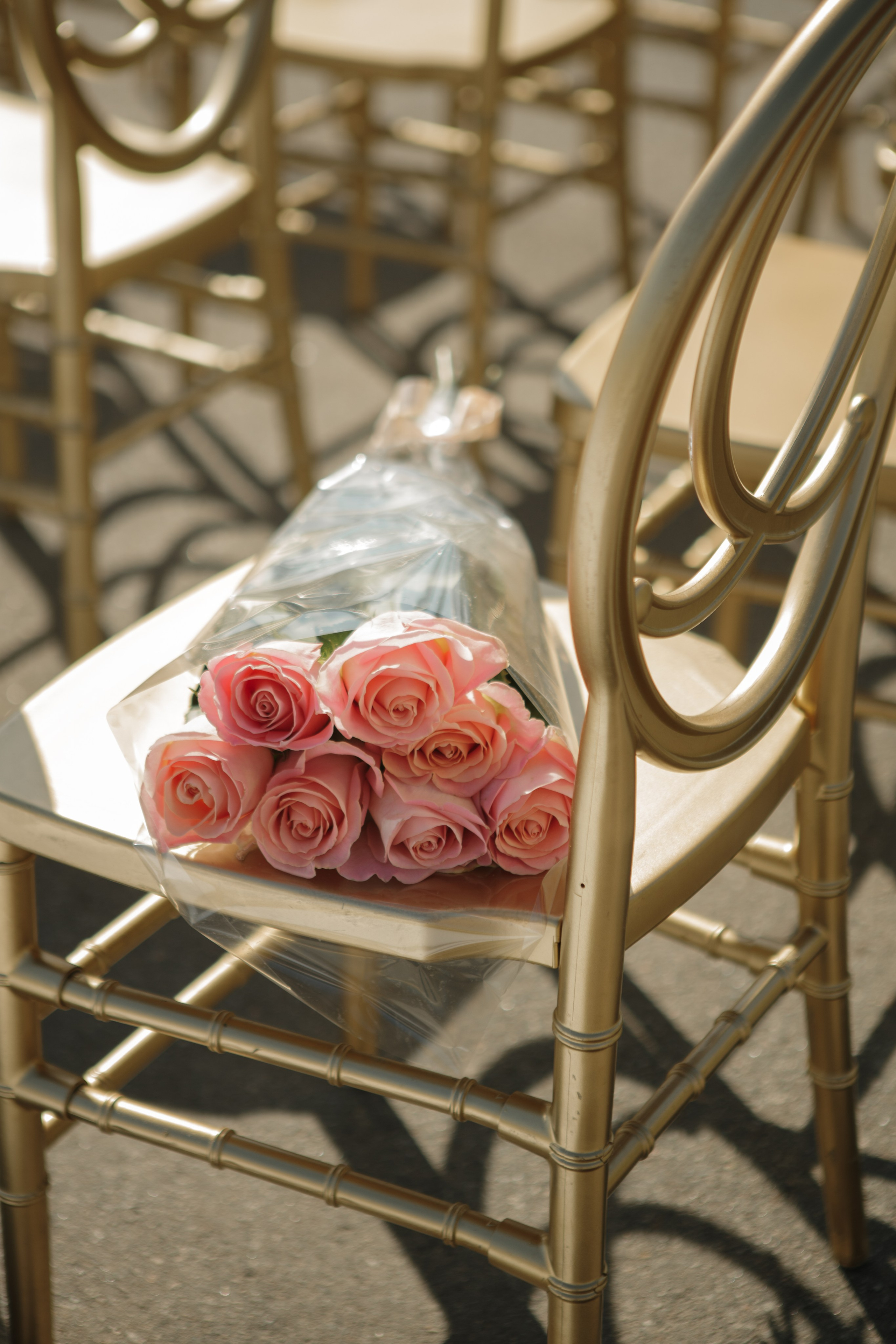 Сергей и Алина. Фотограф в Саратове Сабина Иманова