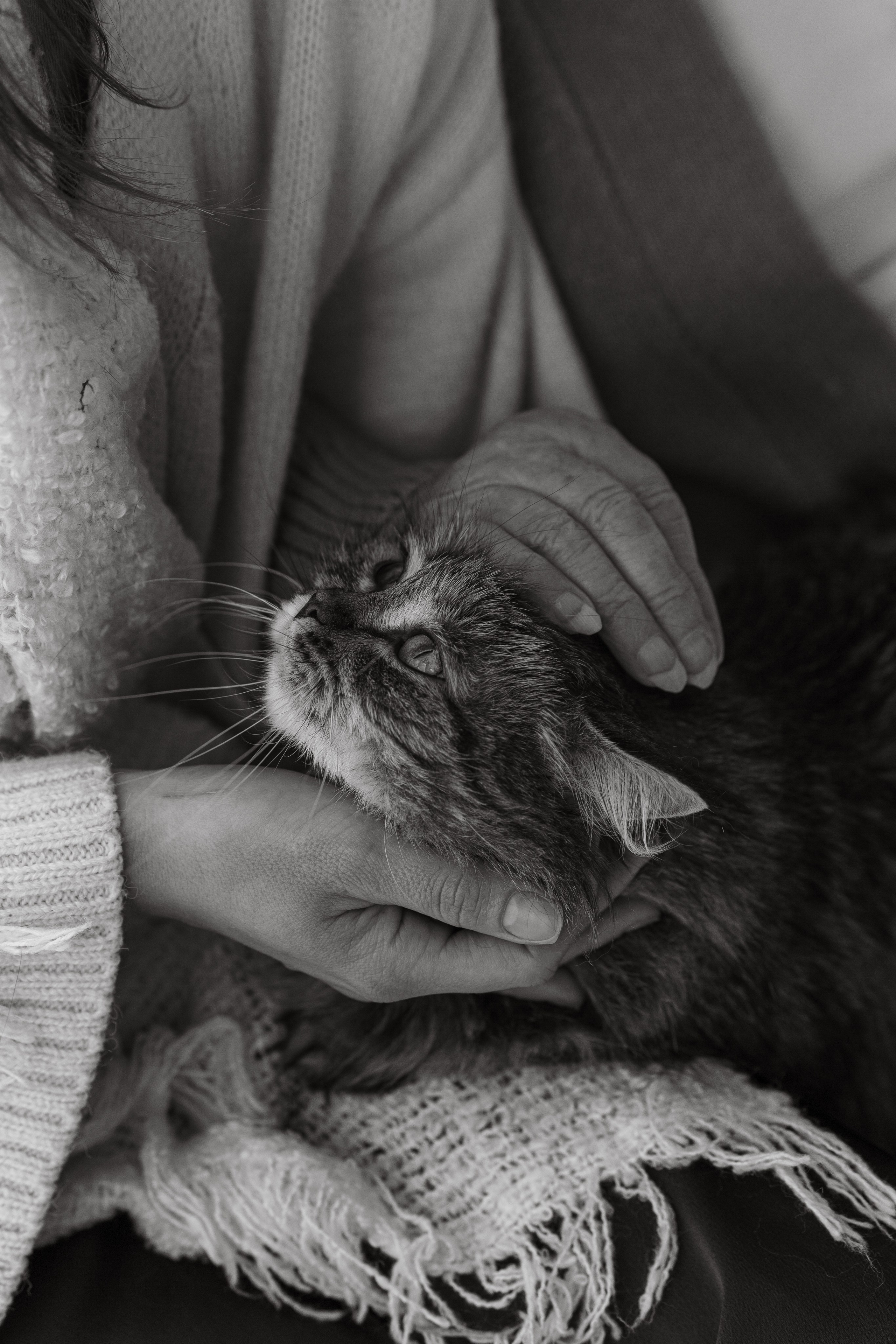 Бабушка и внучка. Фотограф Москва / Балашиха