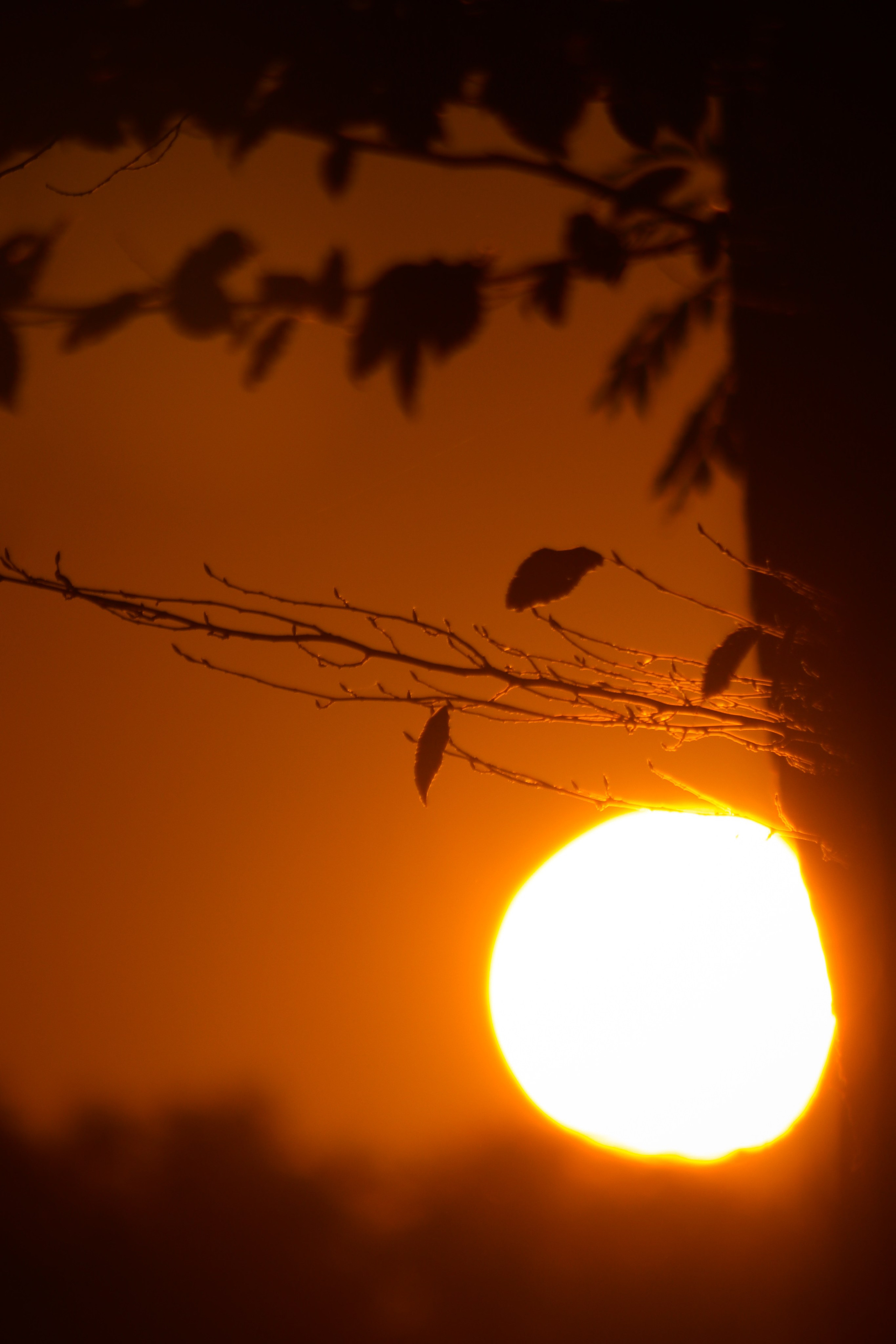 З А К А Т Ы. — Digital Noise —