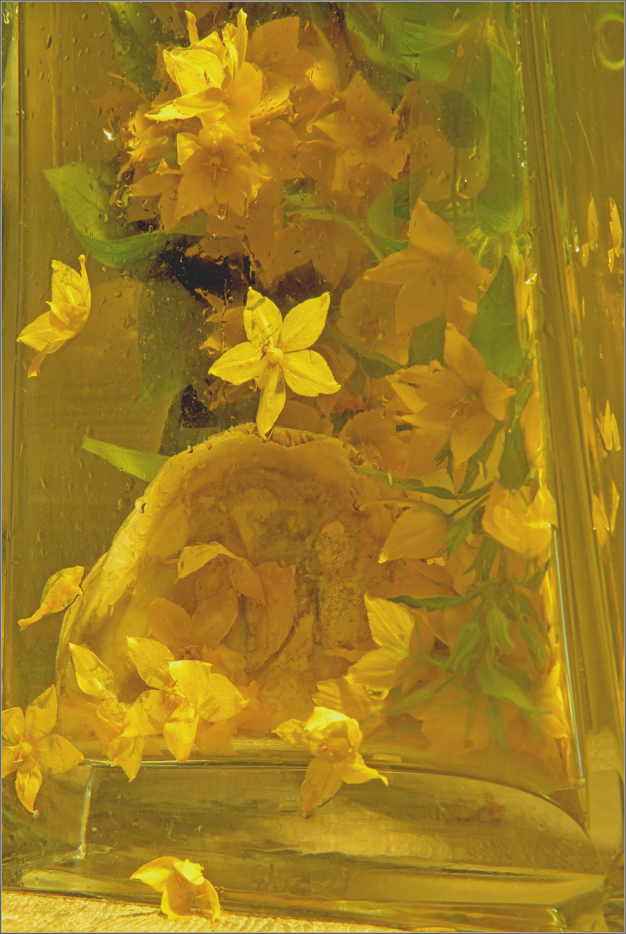 Арт проекты. Визуальный художник Лиана Даренская, Москва