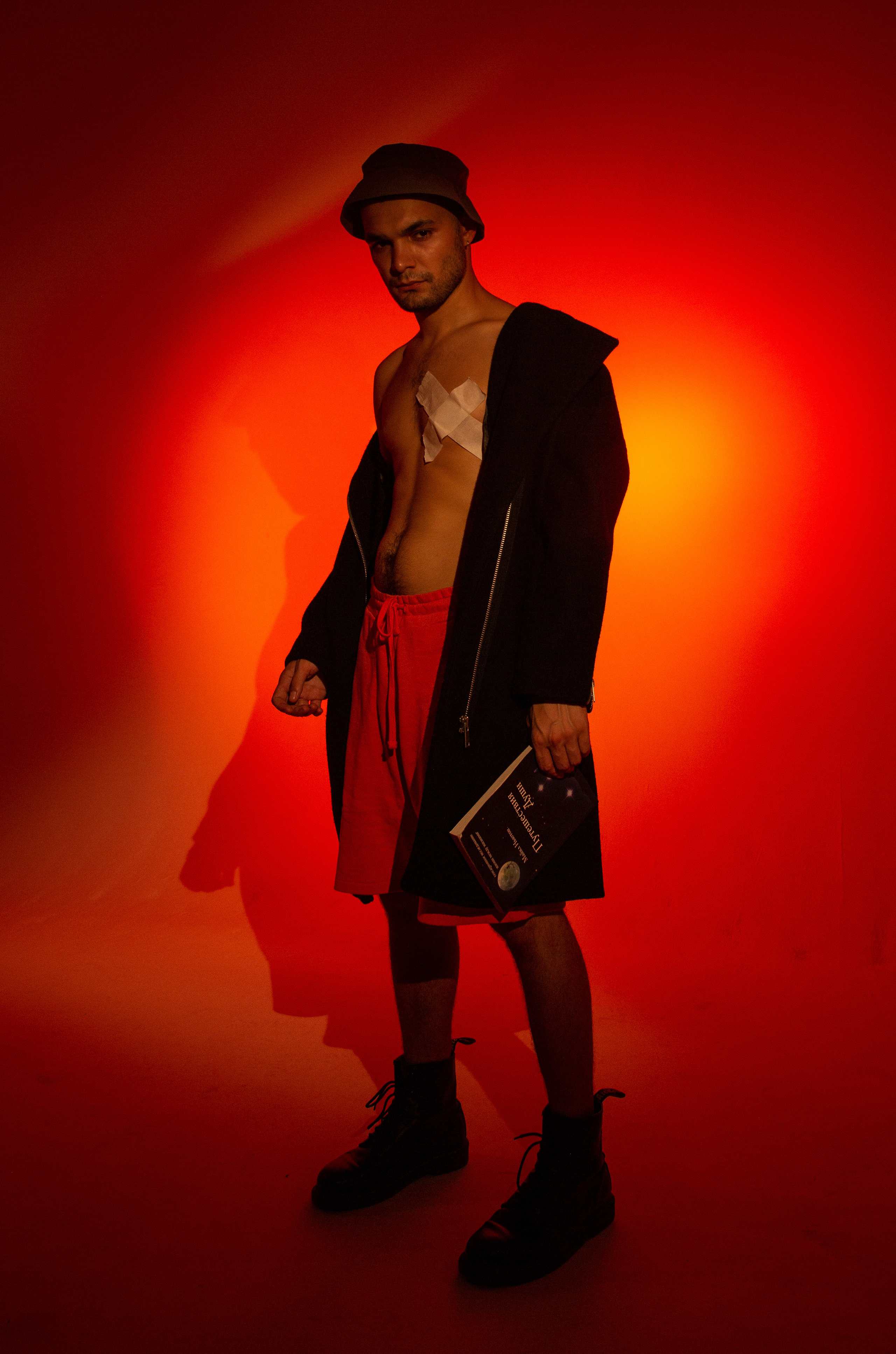 Арт проекты. Визуальный художник Лиана Даренская, Москва