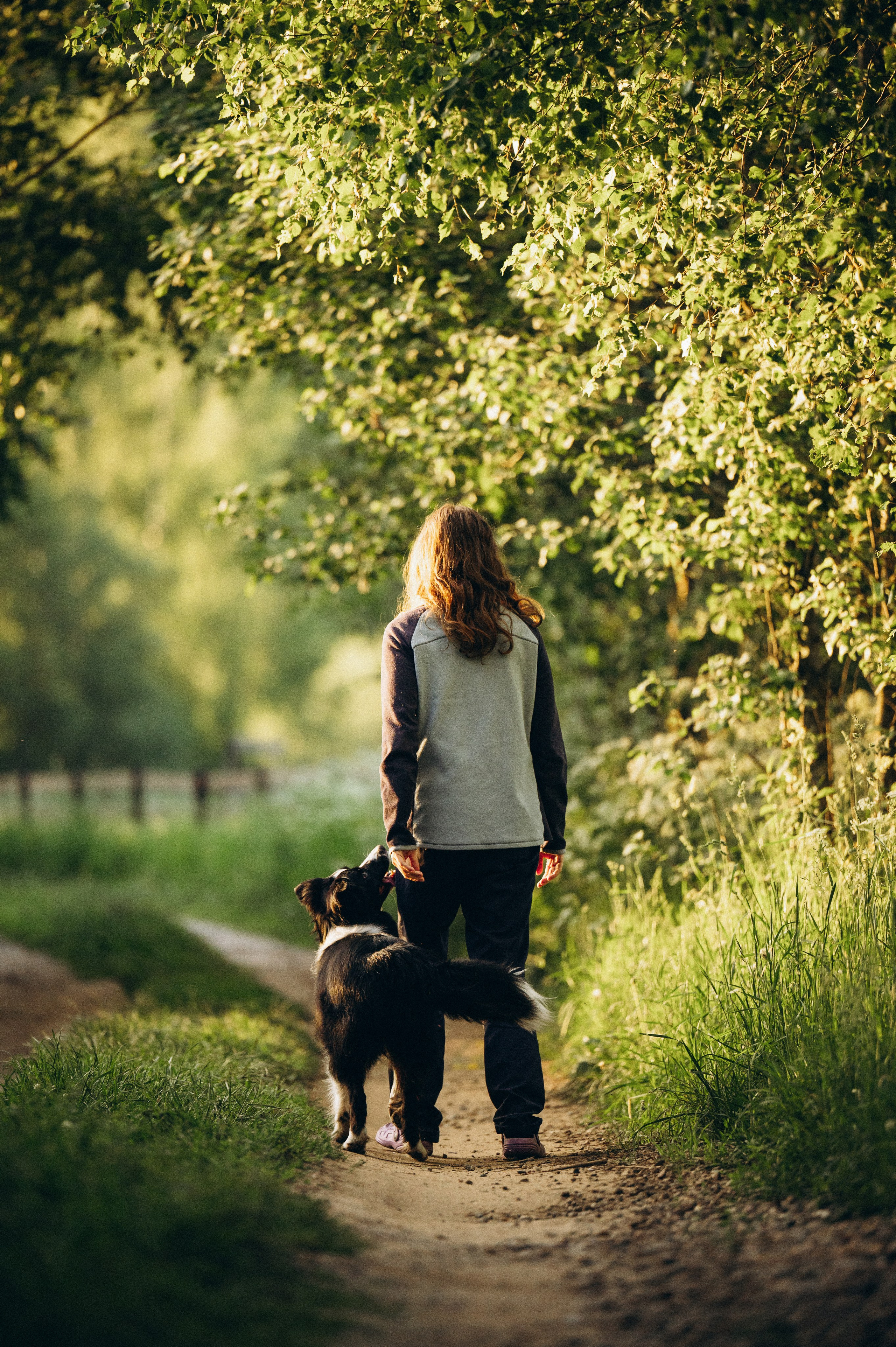 Регина и Эстер. Семейный фотограф анималист Ананьева Мария — Москва