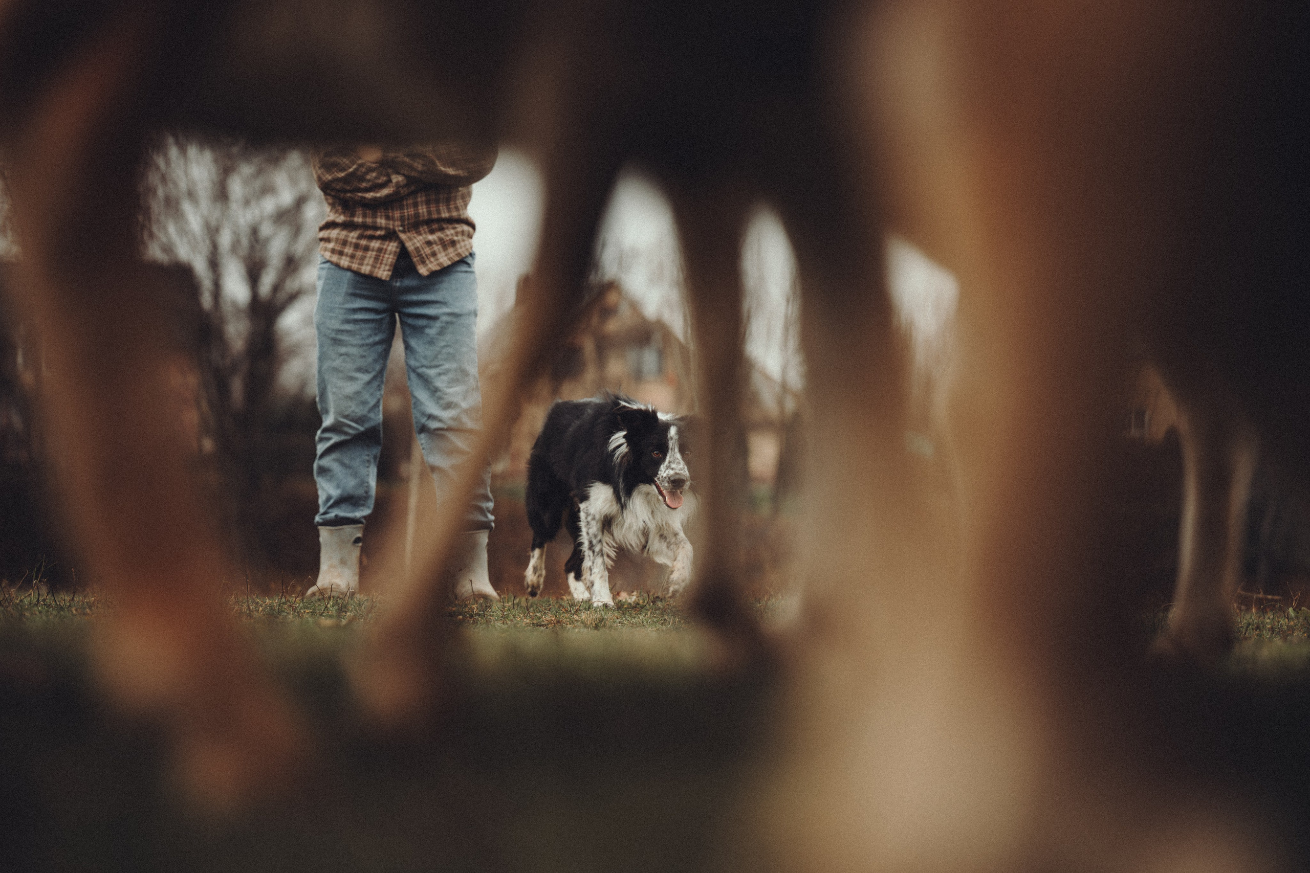 Настя и Рэги на ферме. Семейный фотограф анималист Ананьева Мария — Москва