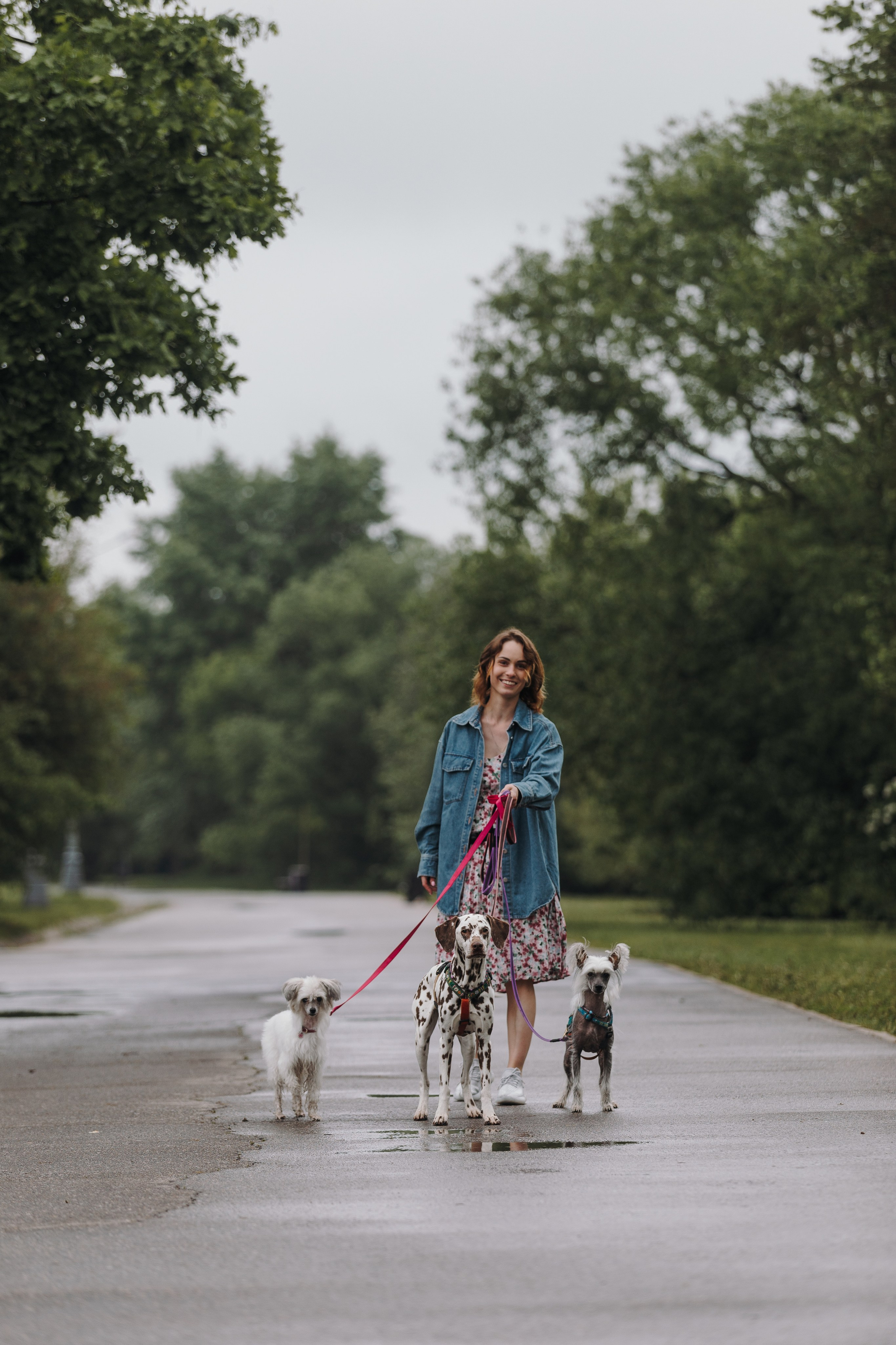 Лили, Уся, Вика и их семья. Фотограф анималист Кристина Карпова, Москва