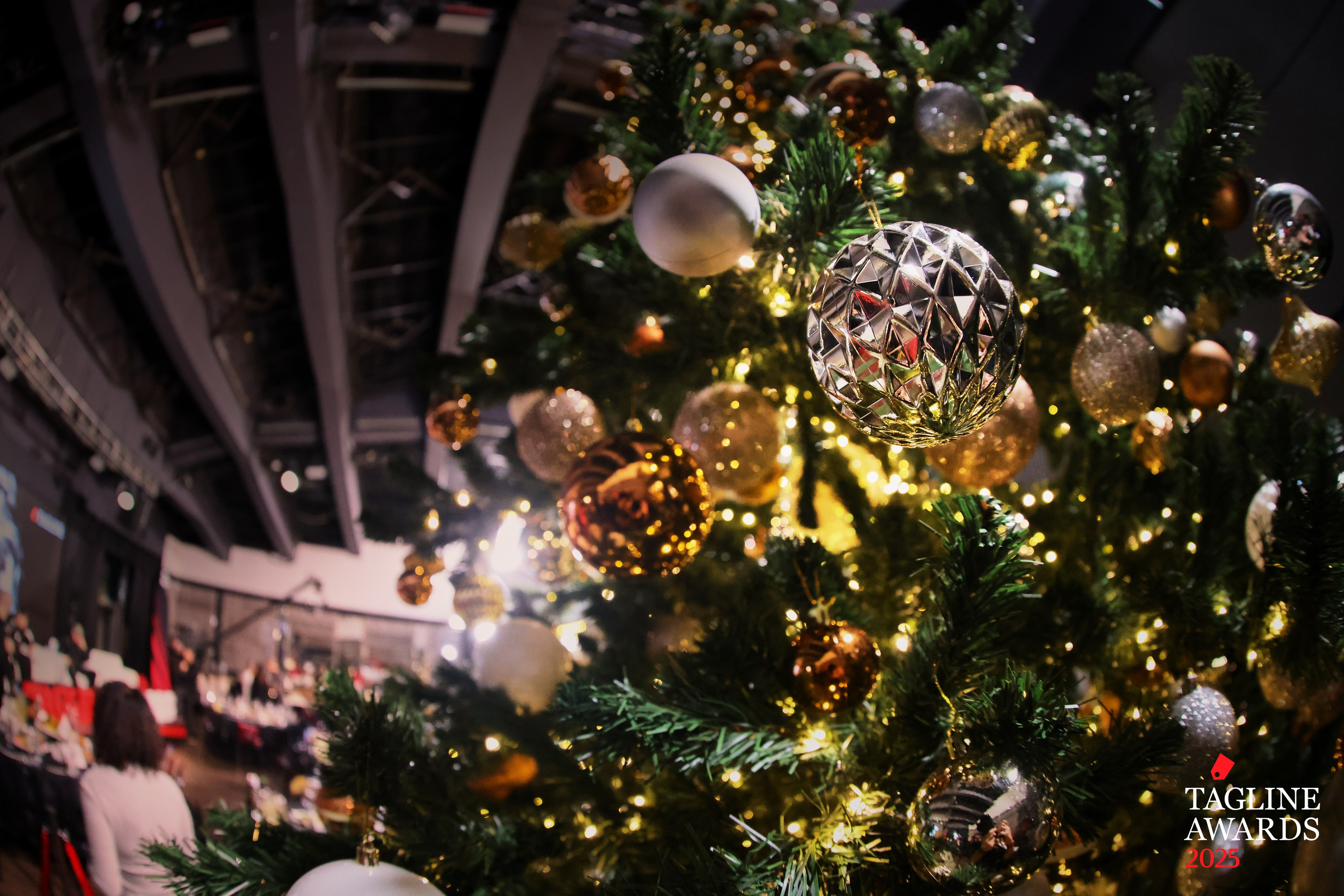 Events. Спортивный и бизнес фотограф Арсений Голышкин