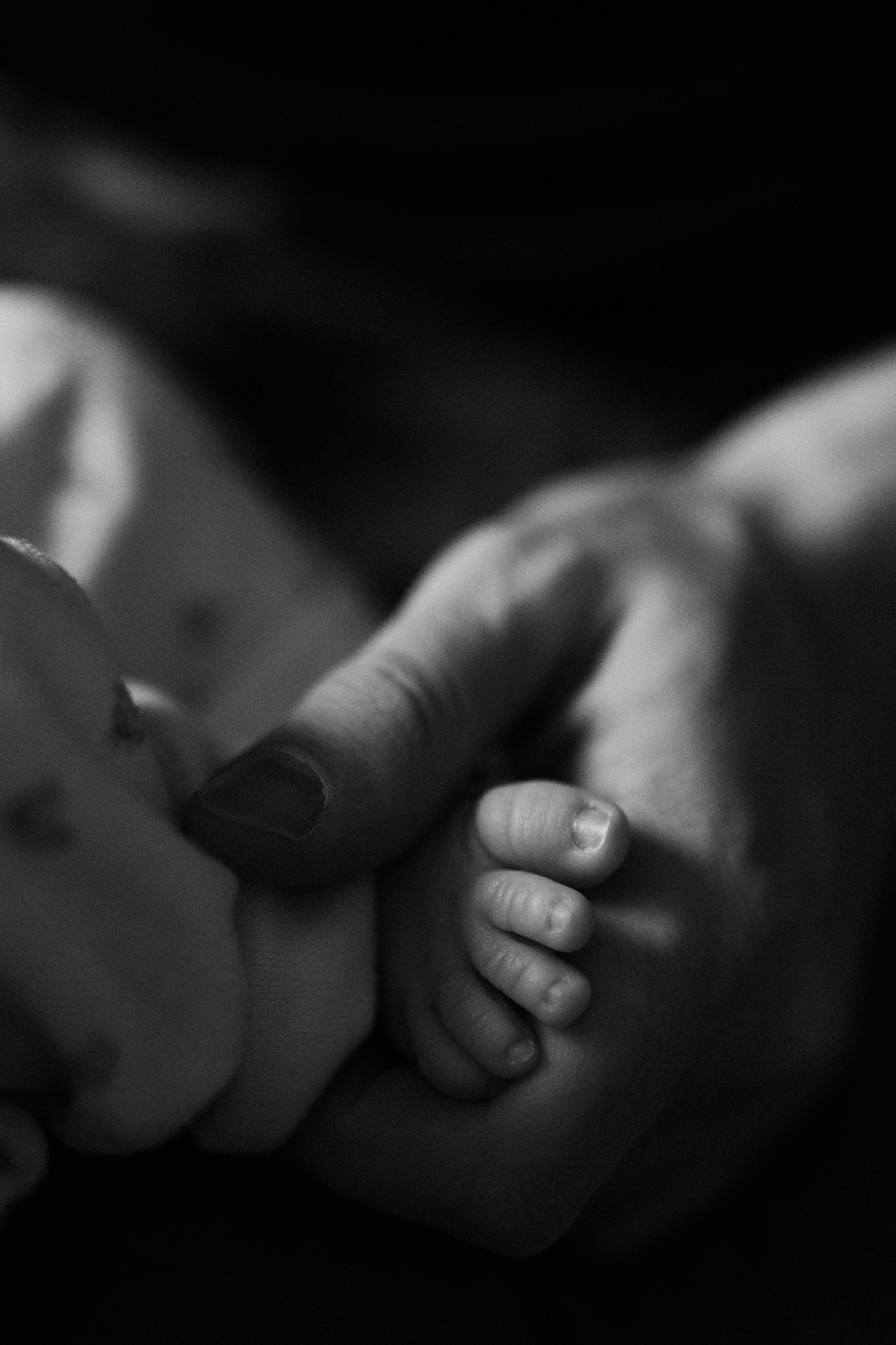 Диана, Даня, Ева. Семейный фотограф Москва