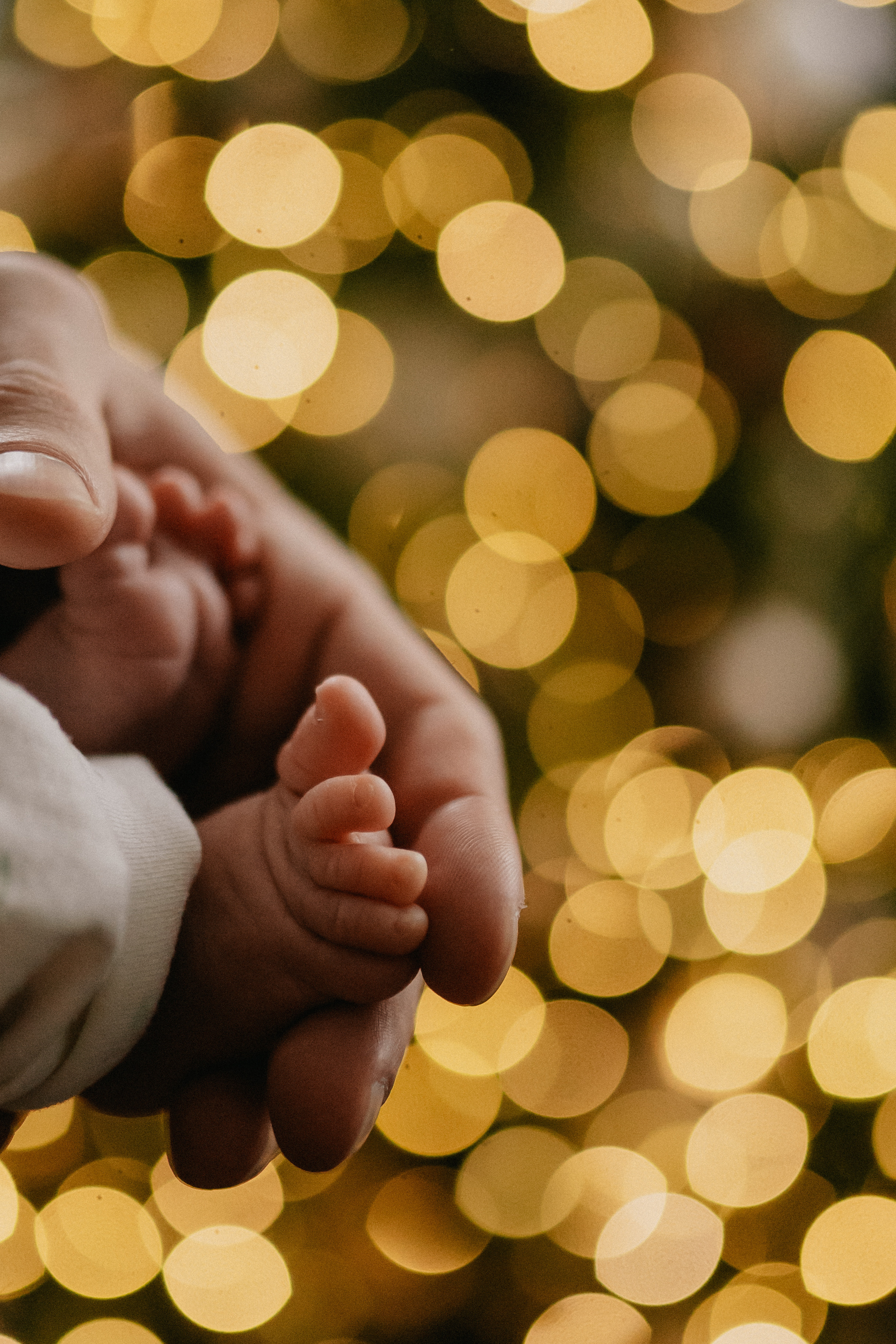 Диана, Даня, Ева. Семейный фотограф Москва