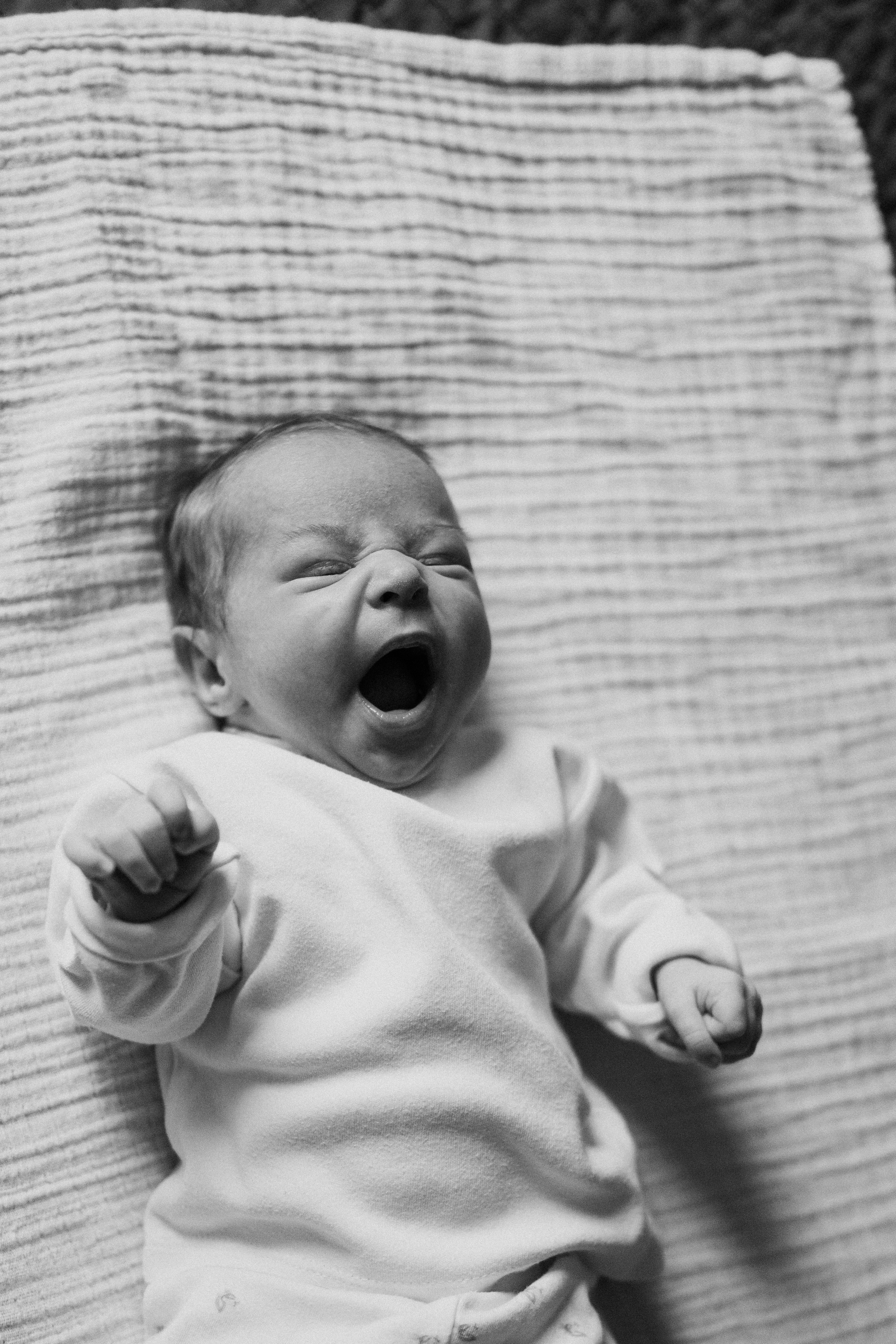 Диана, Даня, Ева. Семейный фотограф Москва