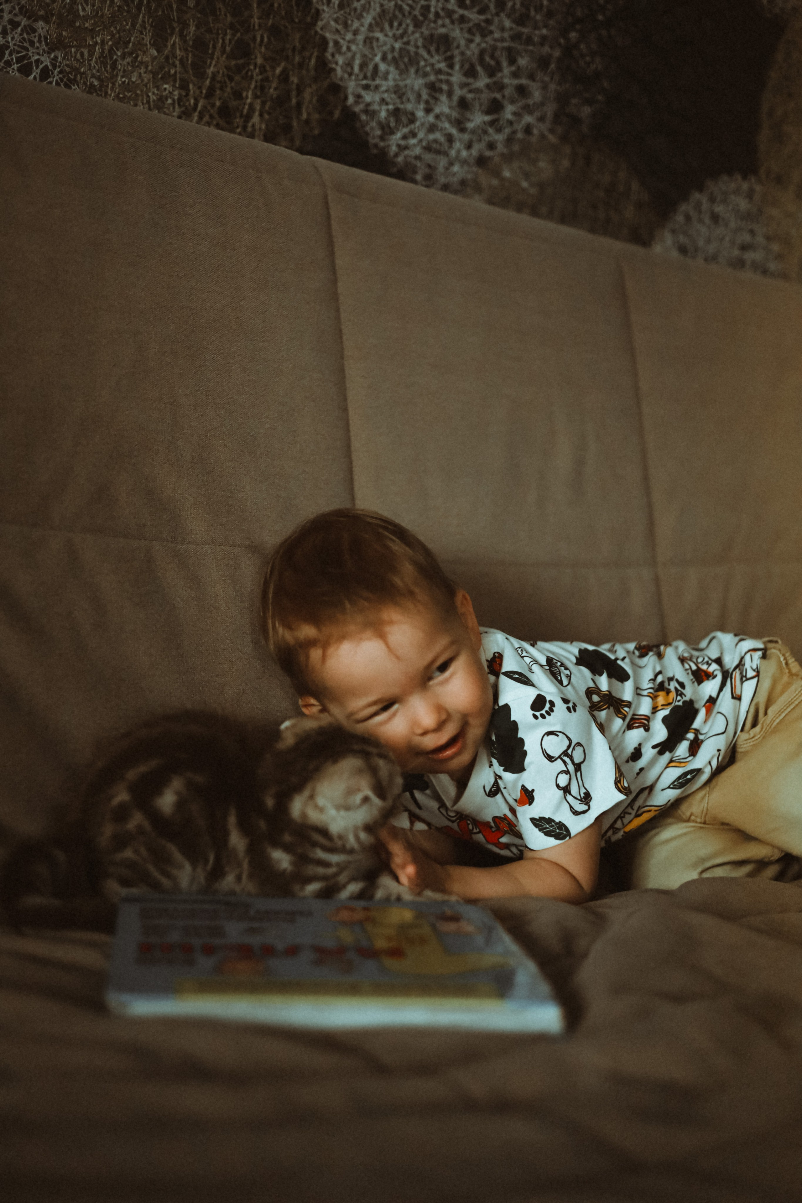 Домашняя. Фотограф Оксана Пономарева