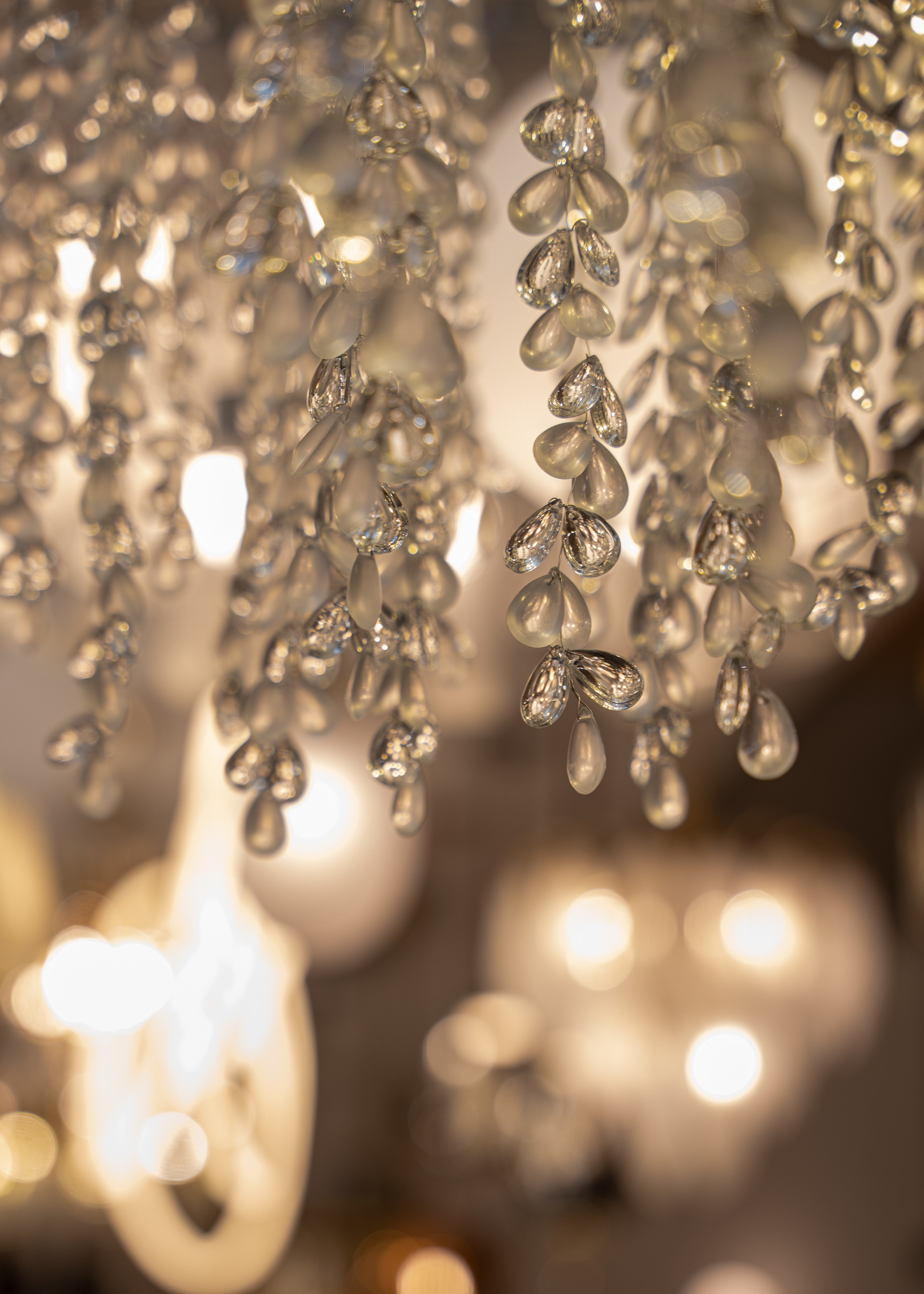 ARGUS VDK. Фотограф Хабаровск