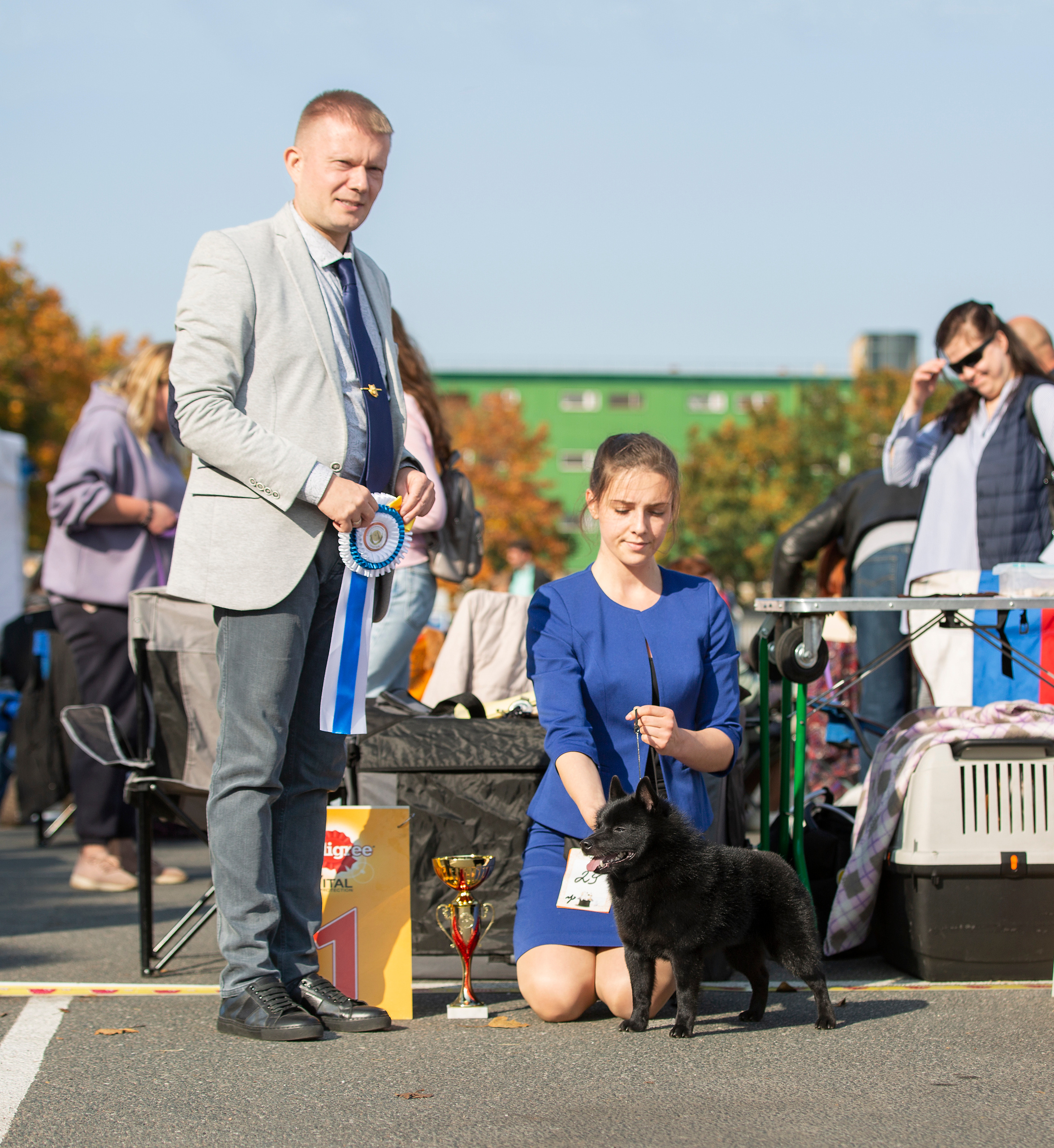 Выставки / репортаж. Фотограф — анималист в Санкт — Петербурге Анна Орис
