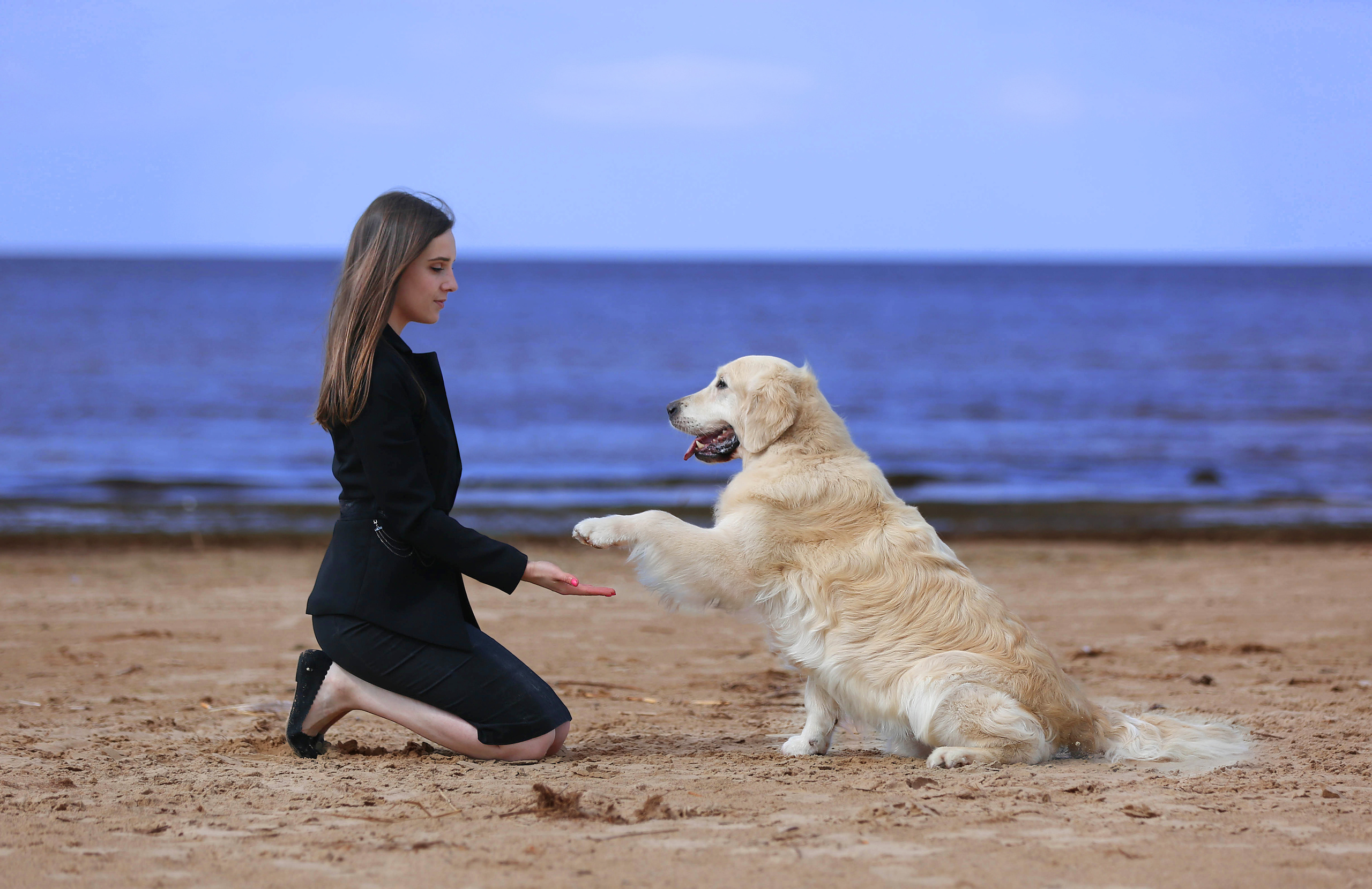 Художественная съёмка. Фотограф — анималист в Санкт — Петербурге Анна Орис