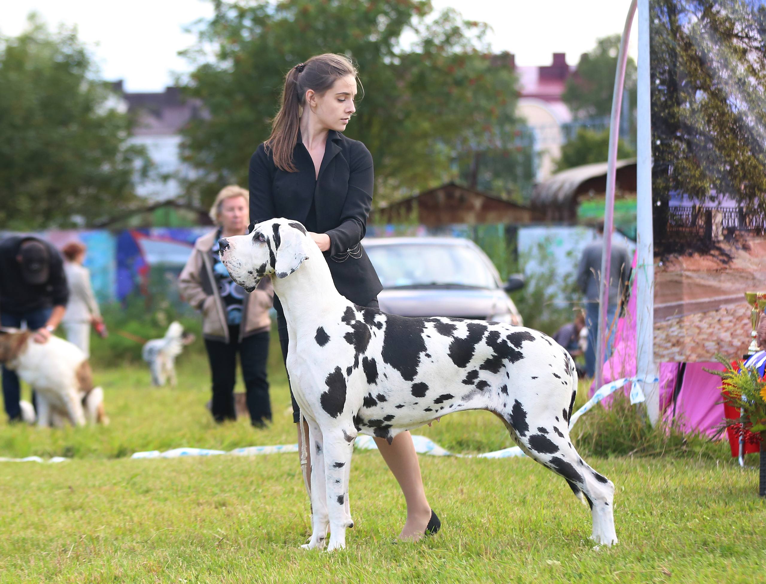 Выставки / репортаж. Фотограф — анималист в Санкт — Петербурге Анна Орис