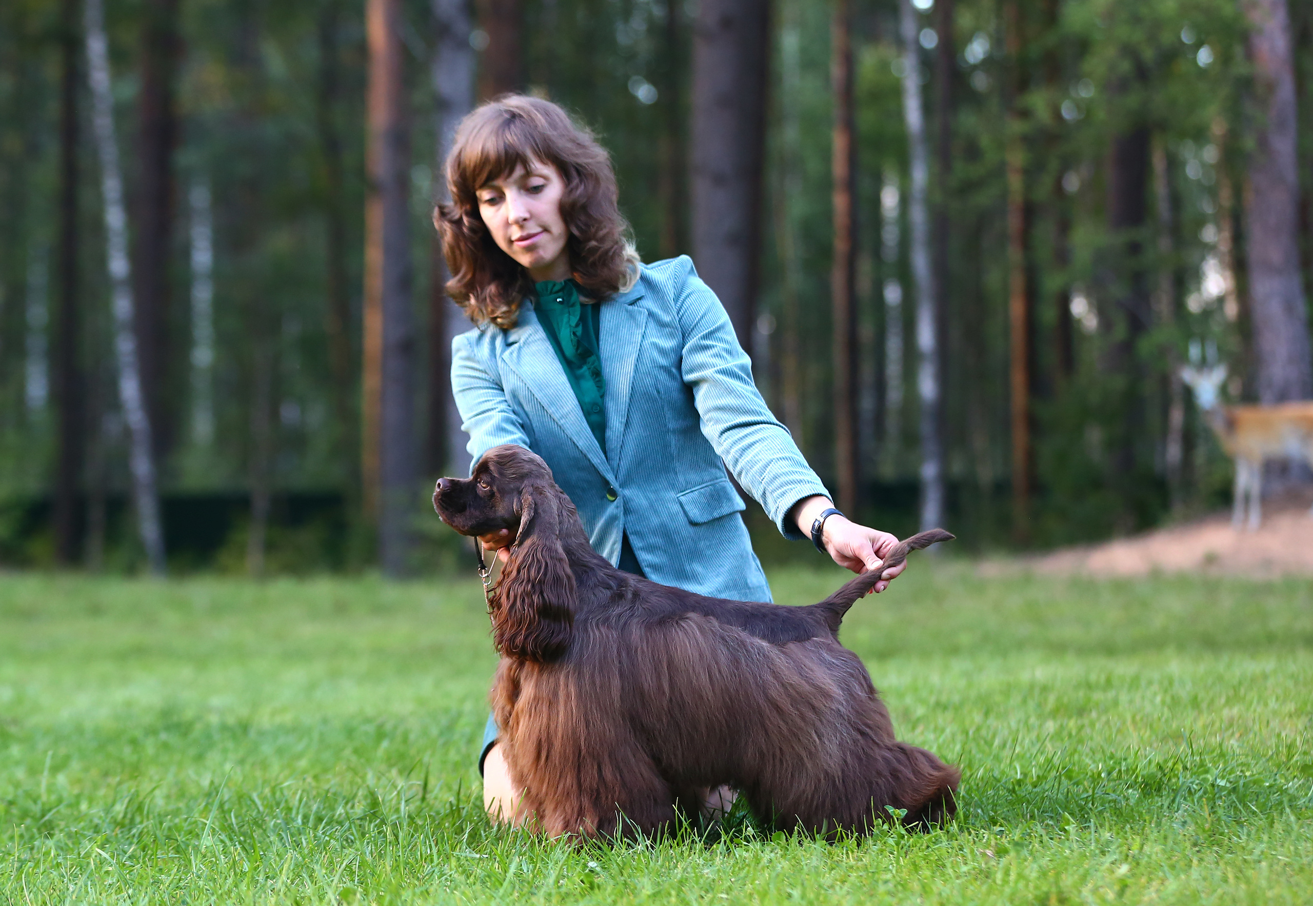 Выставки / репортаж. Фотограф — анималист в Санкт — Петербурге Анна Орис