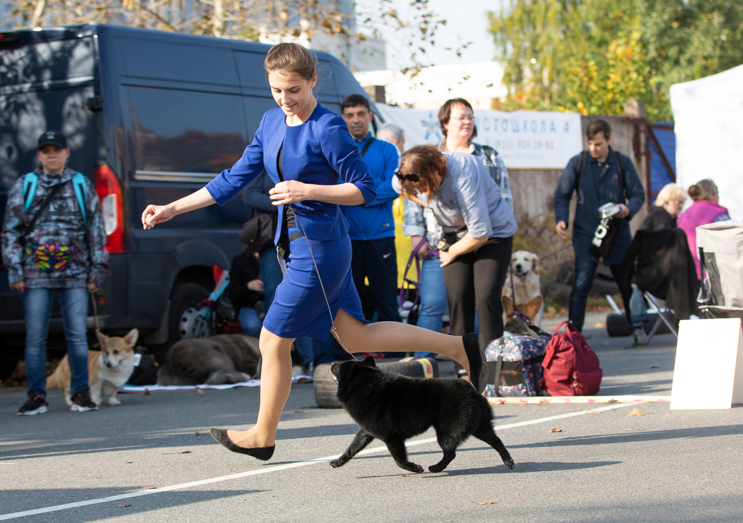 Выставки / репортаж. Фотограф — анималист в Санкт — Петербурге Анна Орис