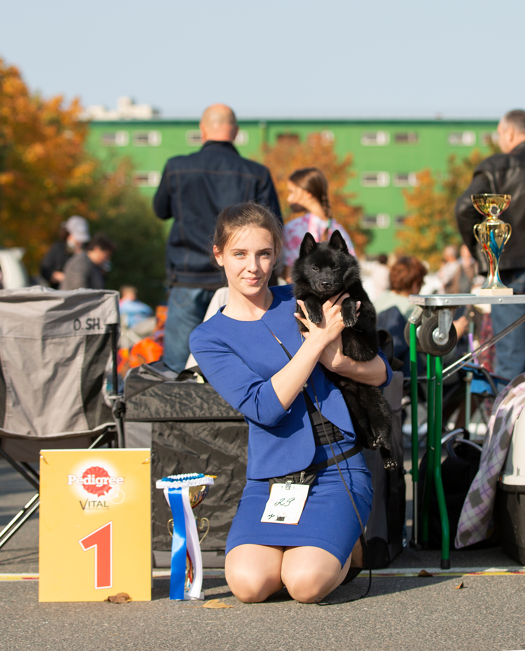 Выставки / репортаж. Фотограф — анималист в Санкт — Петербурге Анна Орис