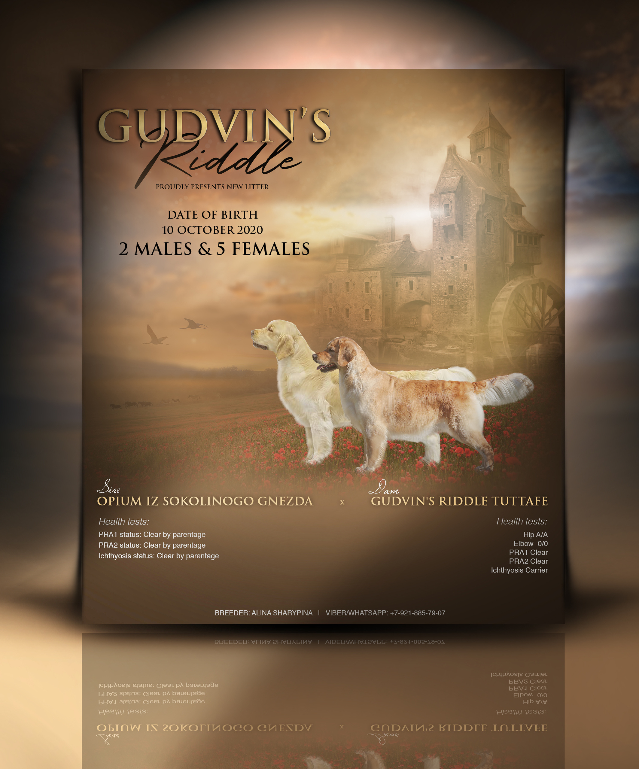 Презентации / реклама. Фотограф — анималист в Санкт — Петербурге Анна Орис