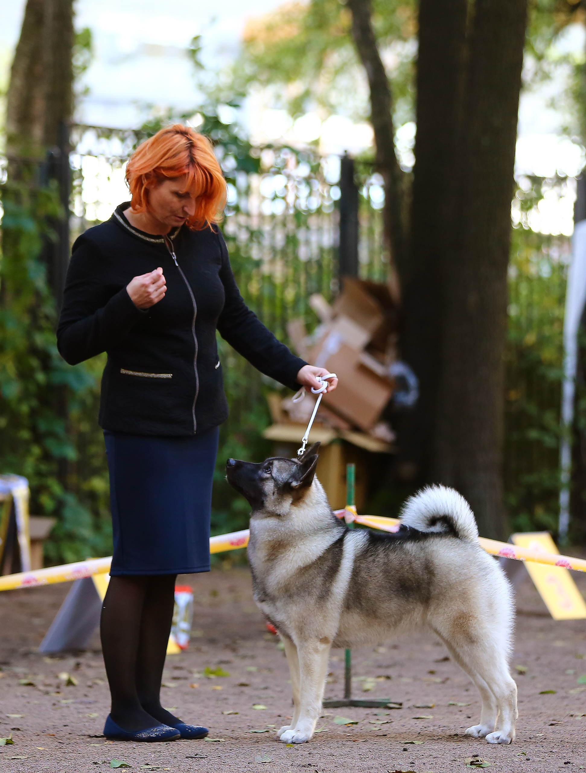 Выставки / репортаж. Фотограф — анималист в Санкт — Петербурге Анна Орис