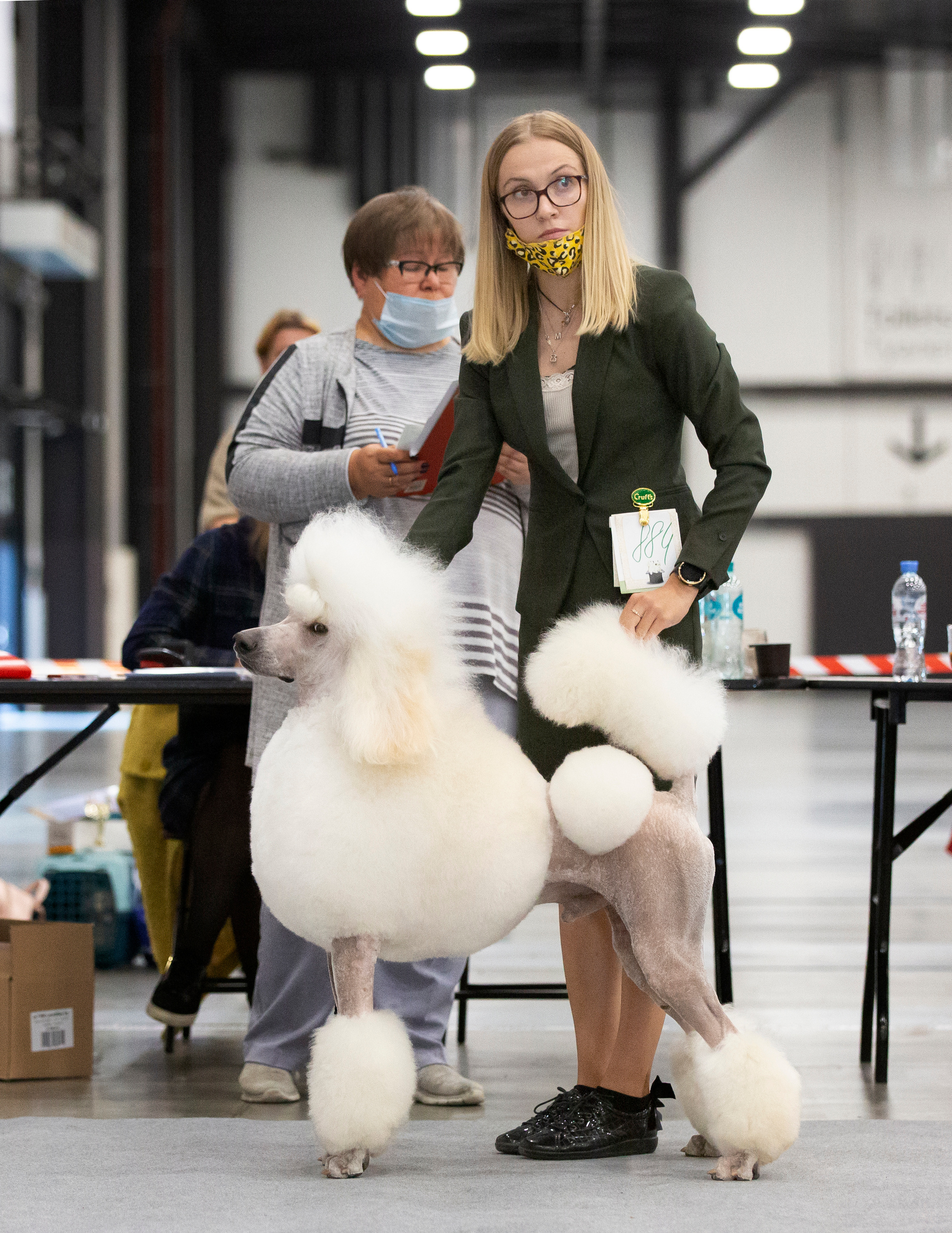 Выставки / репортаж. Фотограф — анималист в Санкт — Петербурге Анна Орис