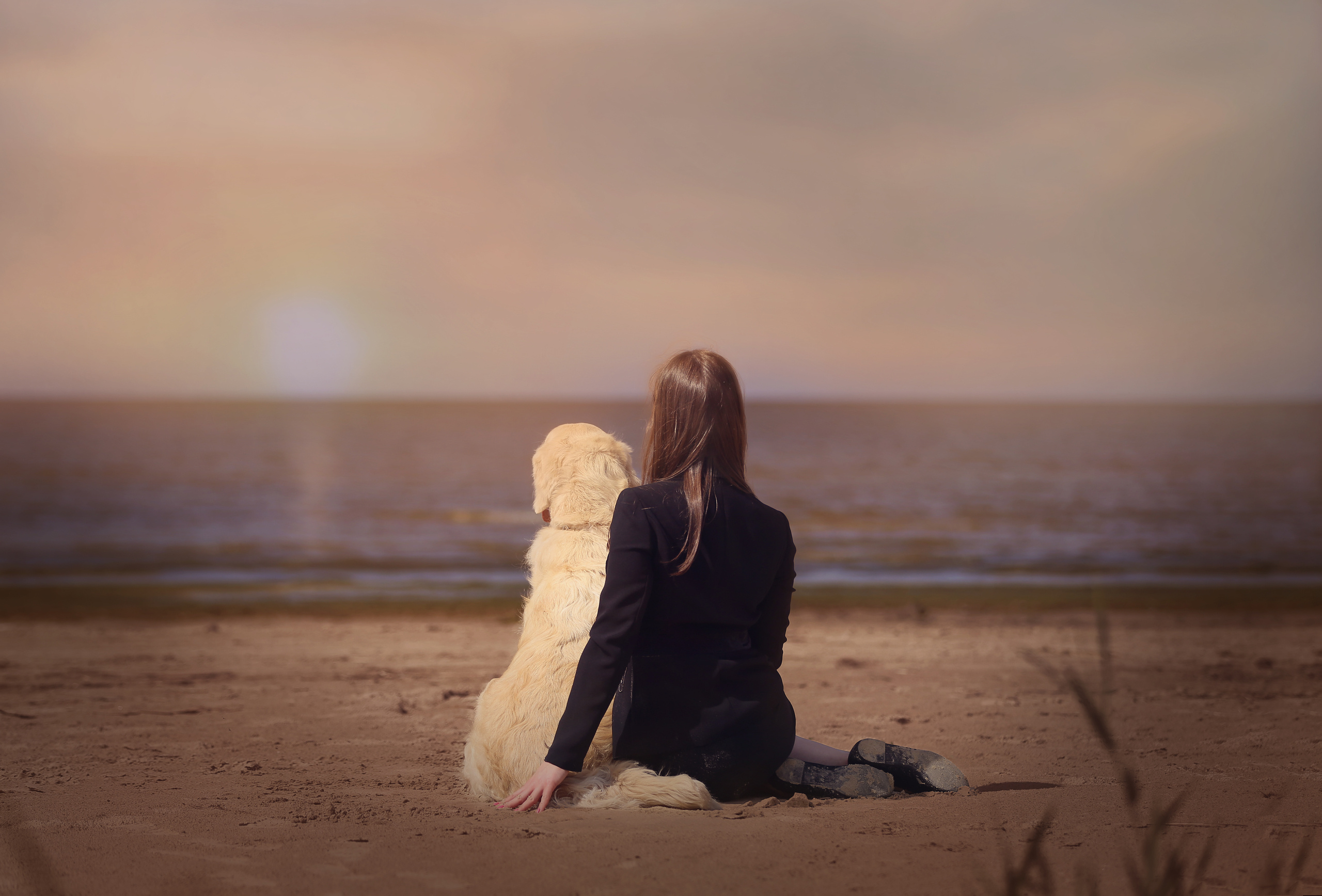 Художественная съёмка. Фотограф — анималист в Санкт — Петербурге Анна Орис