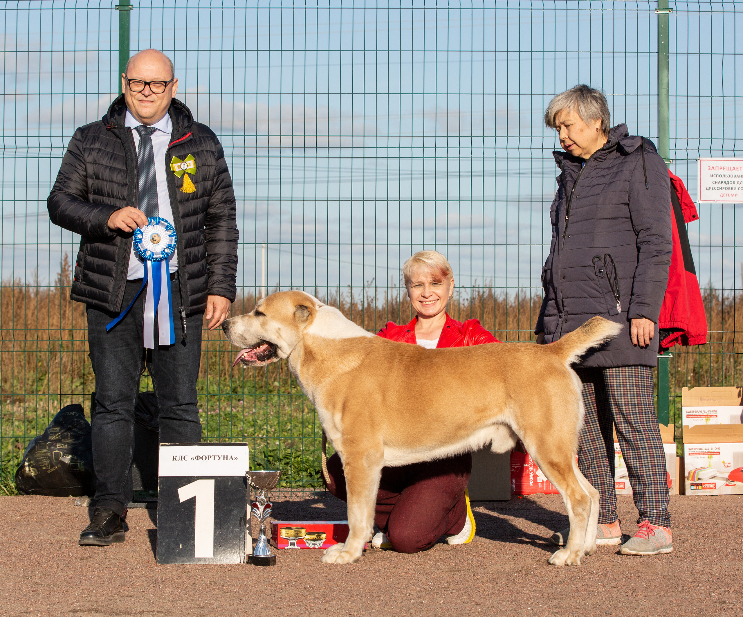 Выставки / репортаж. Фотограф — анималист в Санкт — Петербурге Анна Орис