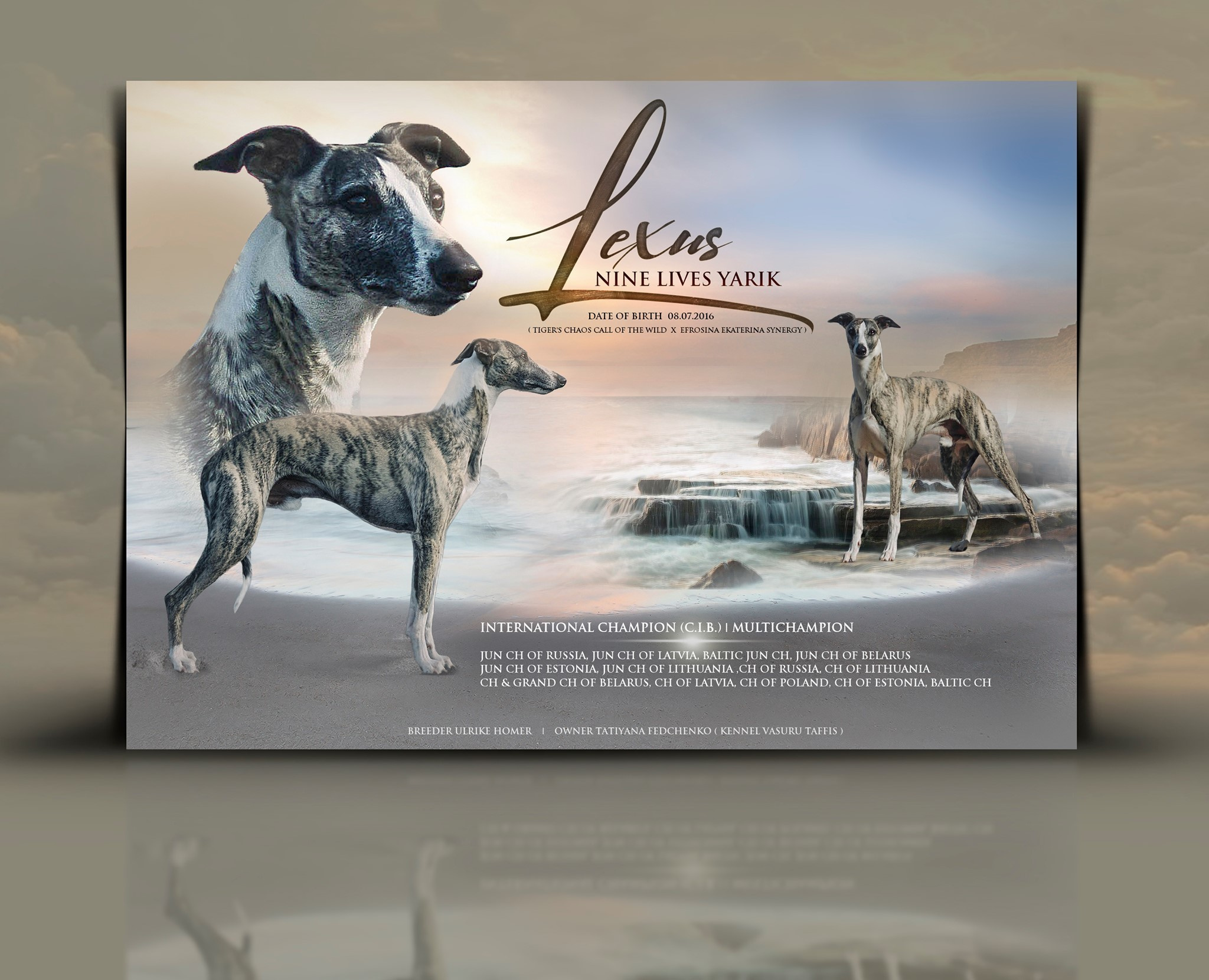 Презентации / реклама. Фотограф — анималист в Санкт — Петербурге Анна Орис