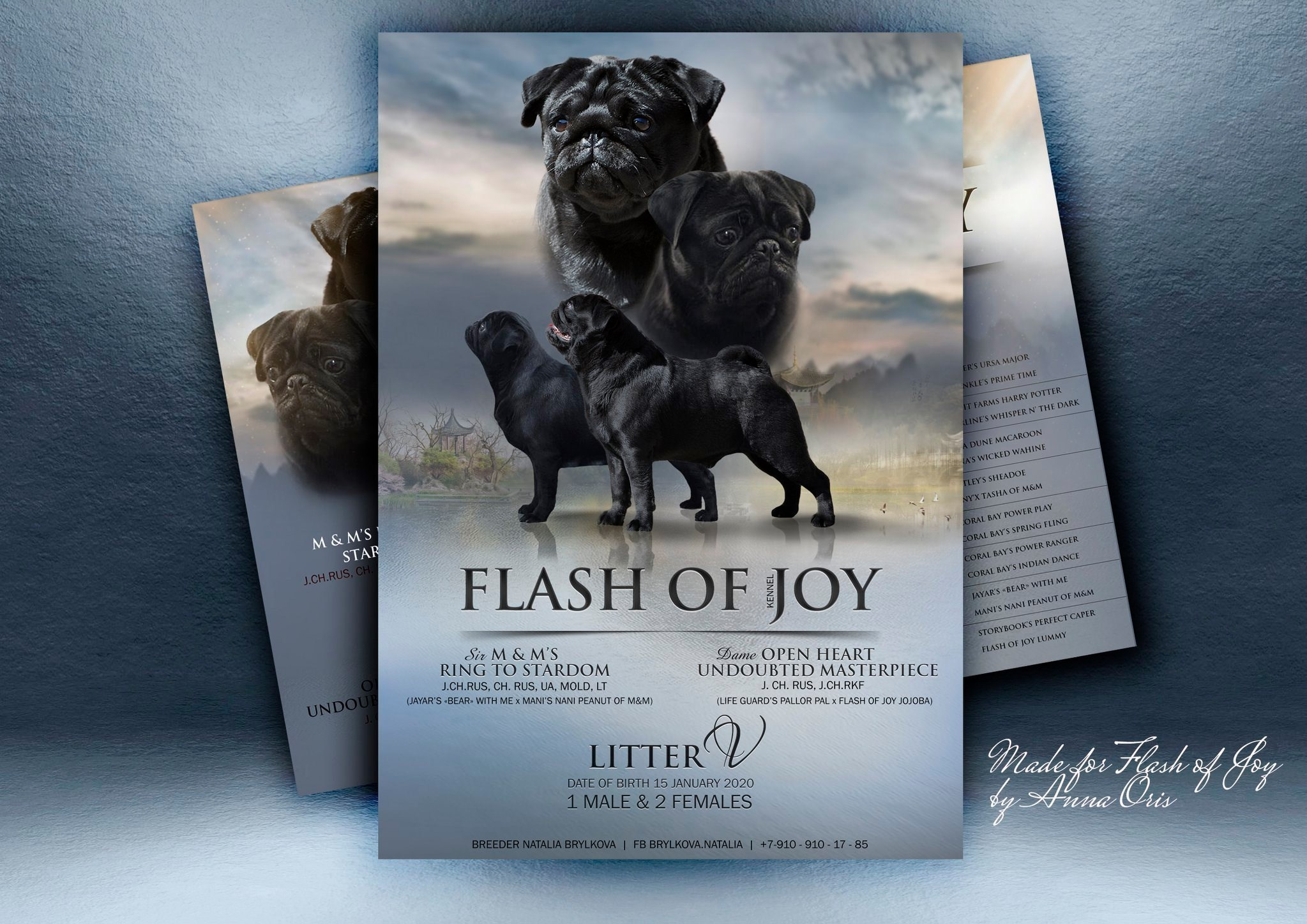 Презентации / реклама. Фотограф — анималист в Санкт — Петербурге Анна Орис