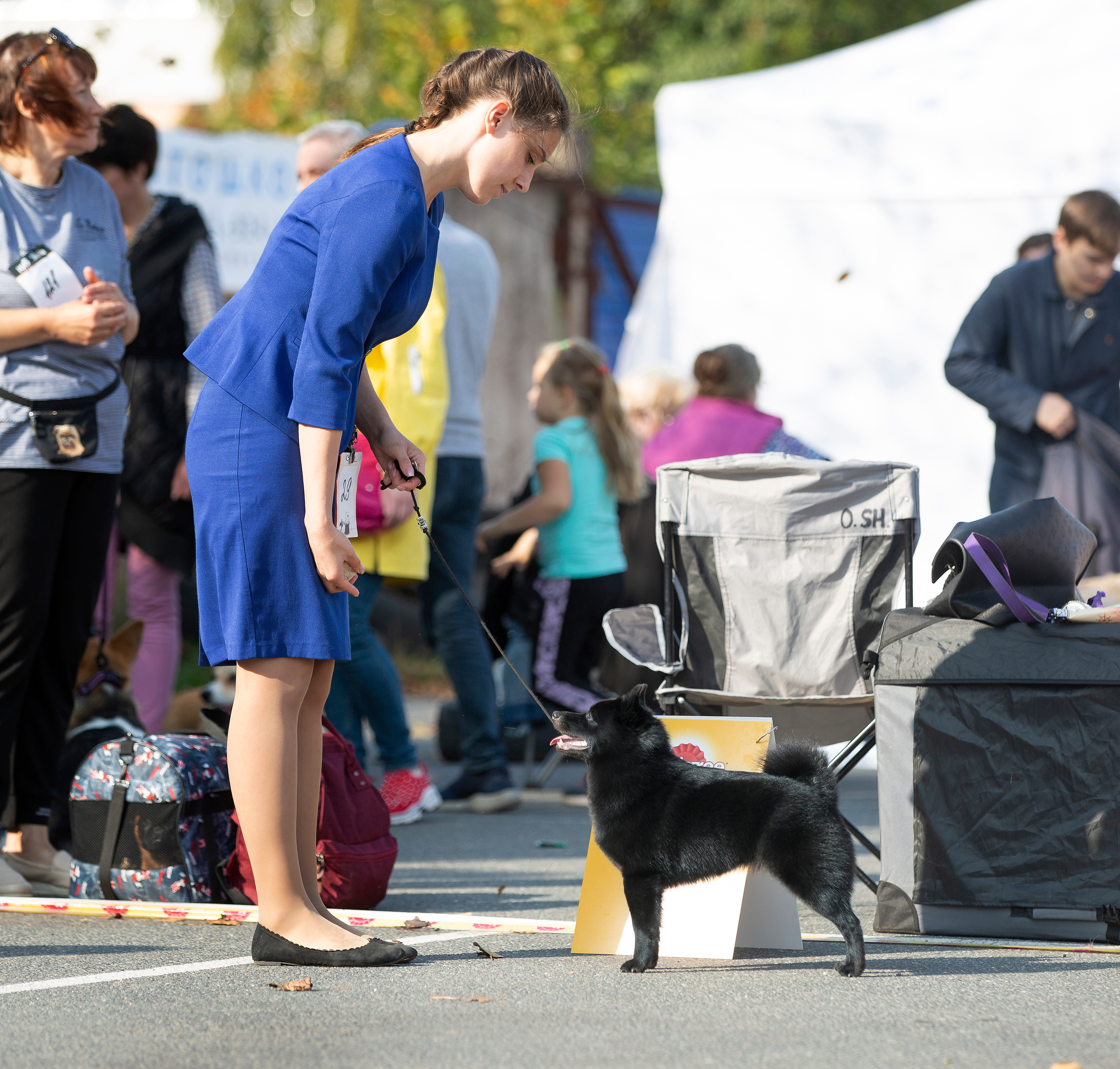 Выставки / репортаж. Фотограф — анималист в Санкт — Петербурге Анна Орис