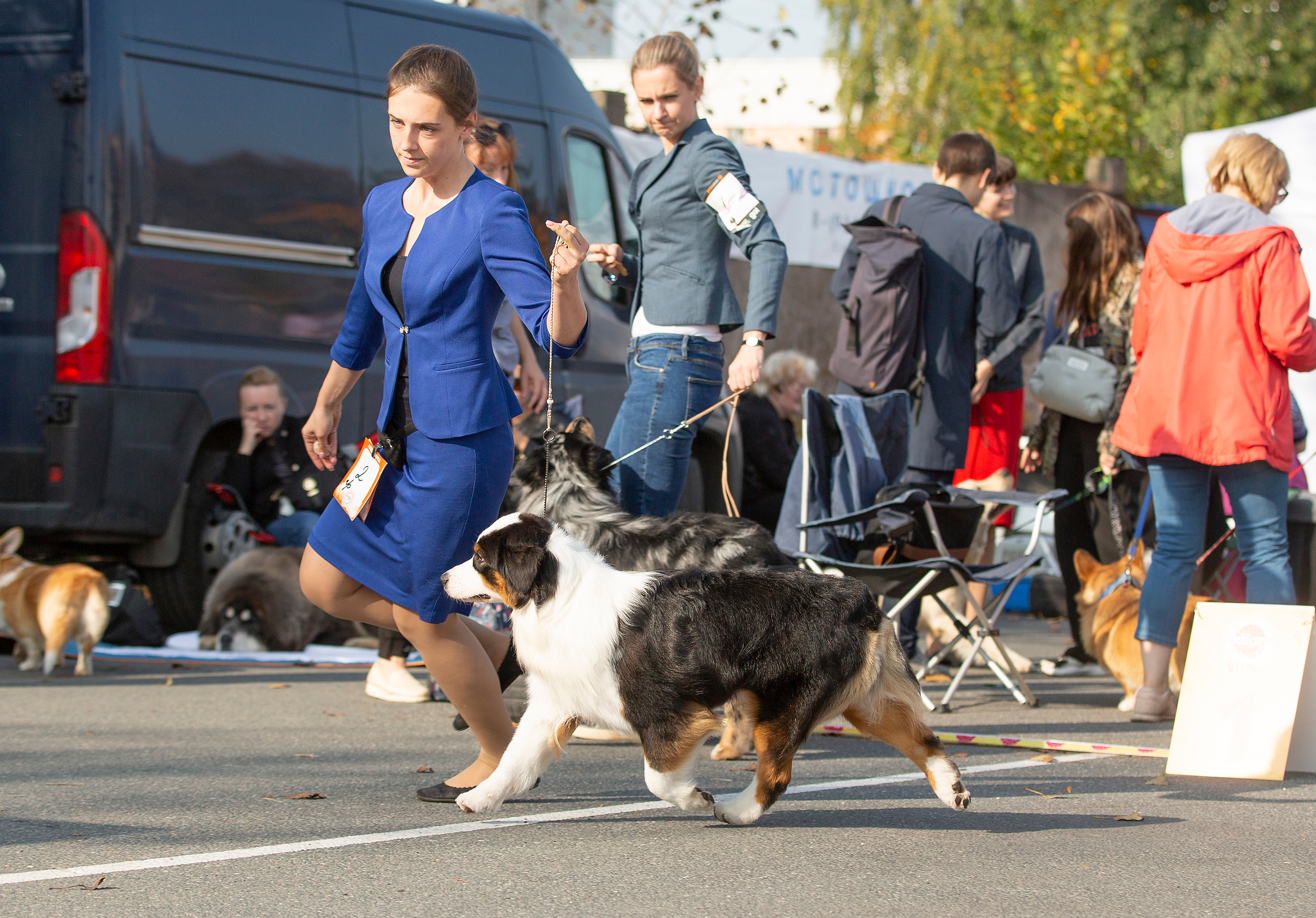 Выставки / репортаж. Фотограф — анималист в Санкт — Петербурге Анна Орис