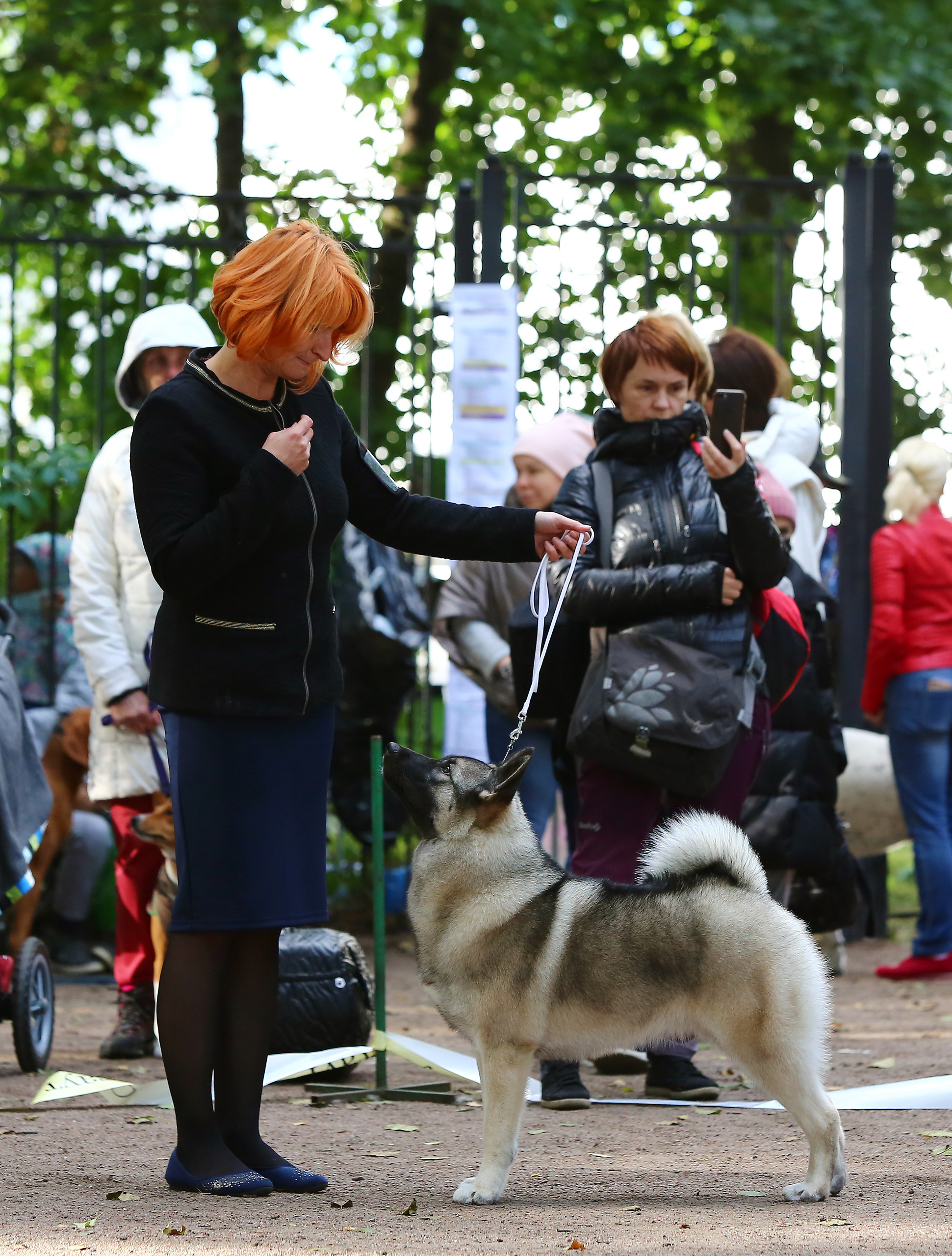 Выставки / репортаж. Фотограф — анималист в Санкт — Петербурге Анна Орис