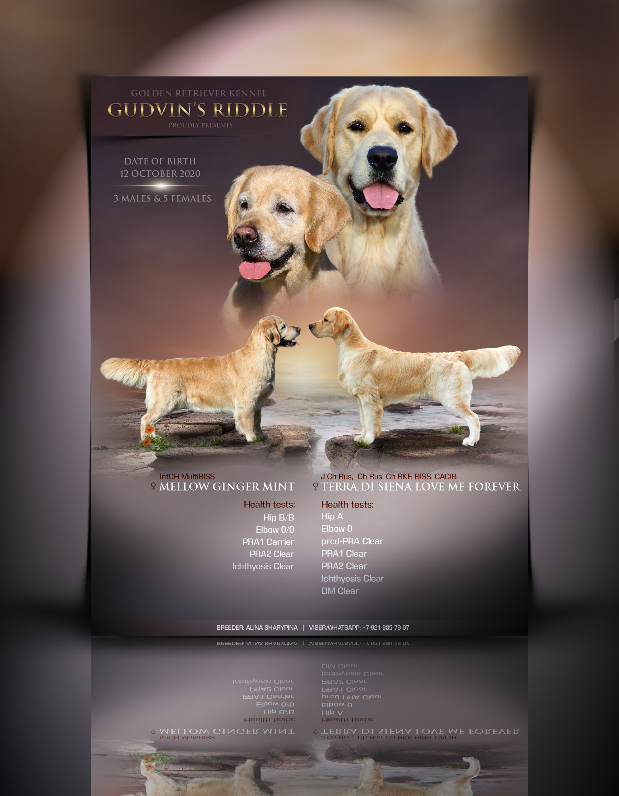 Презентации / реклама. Фотограф — анималист в Санкт — Петербурге Анна Орис