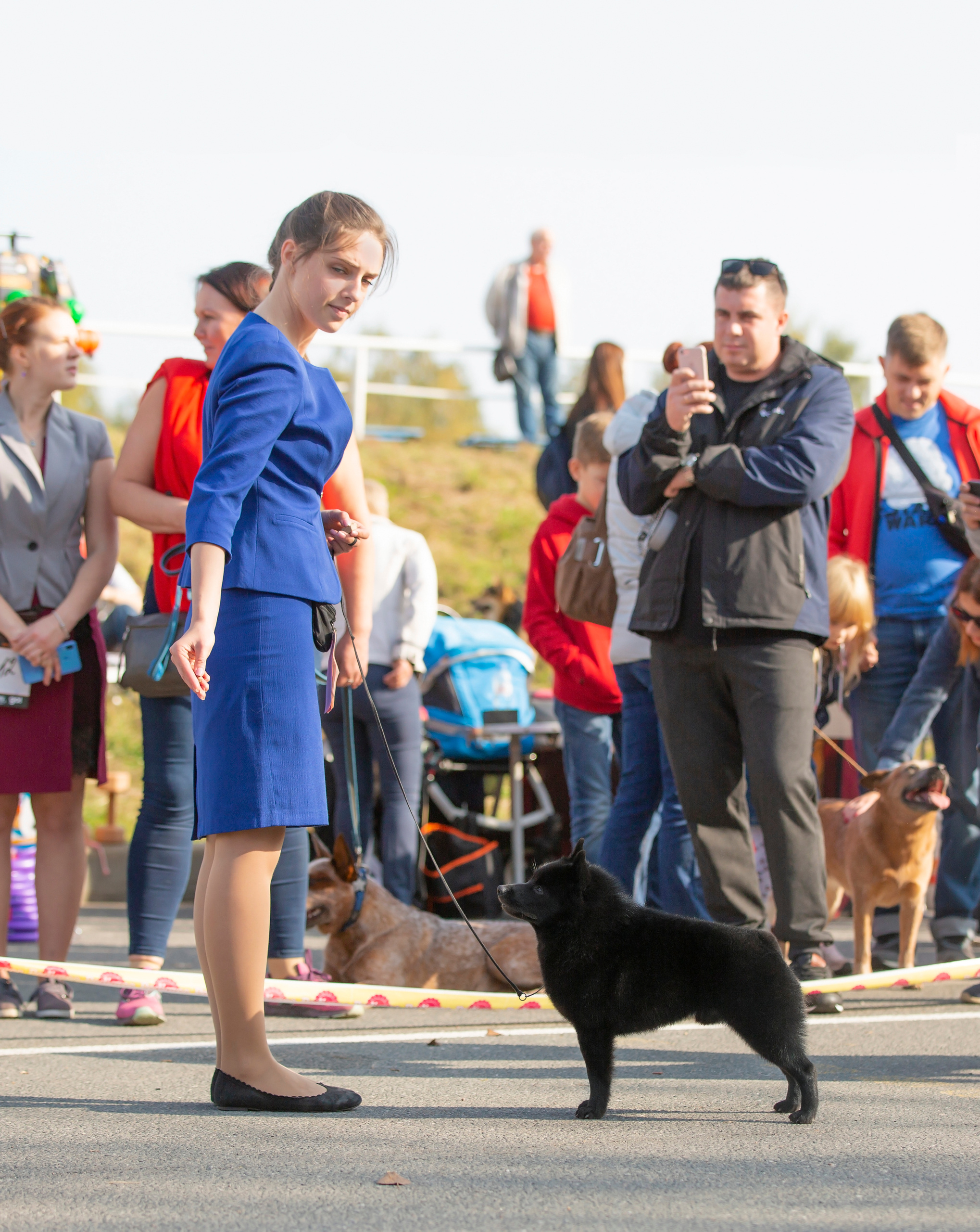 Выставки / репортаж. Фотограф — анималист в Санкт — Петербурге Анна Орис