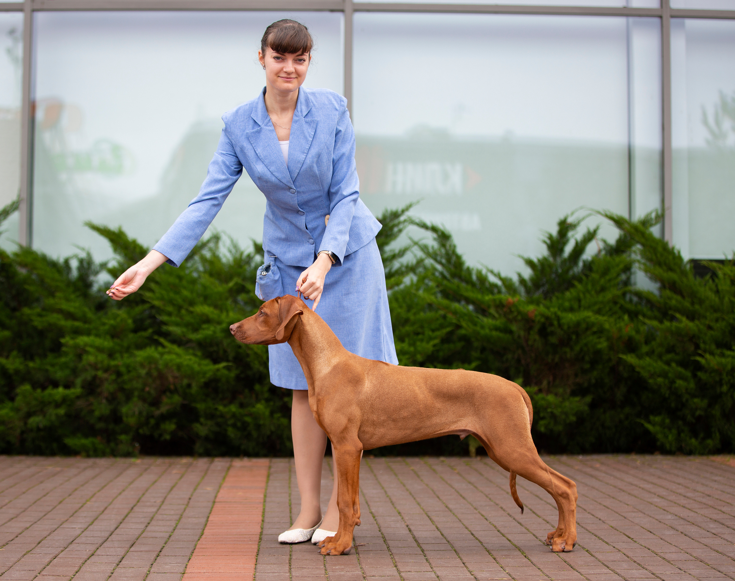 Выставки / репортаж. Фотограф — анималист в Санкт — Петербурге Анна Орис