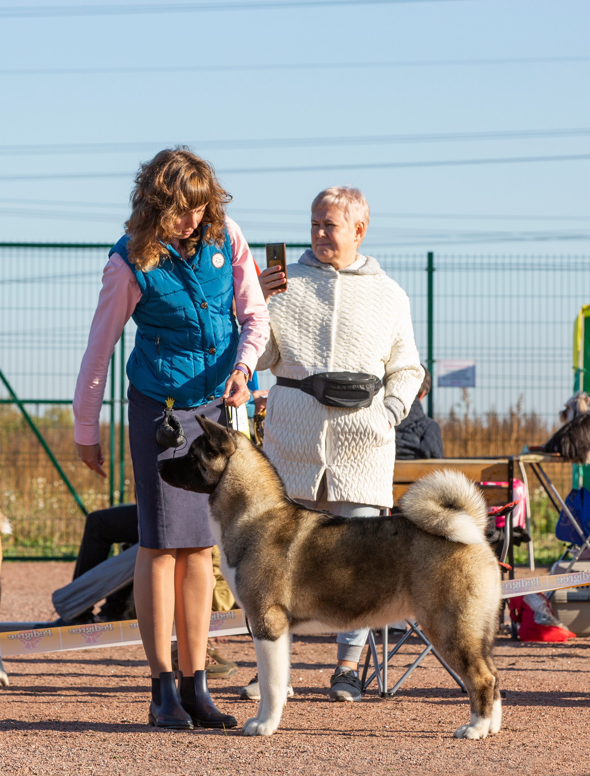 Выставки / репортаж. Фотограф — анималист в Санкт — Петербурге Анна Орис