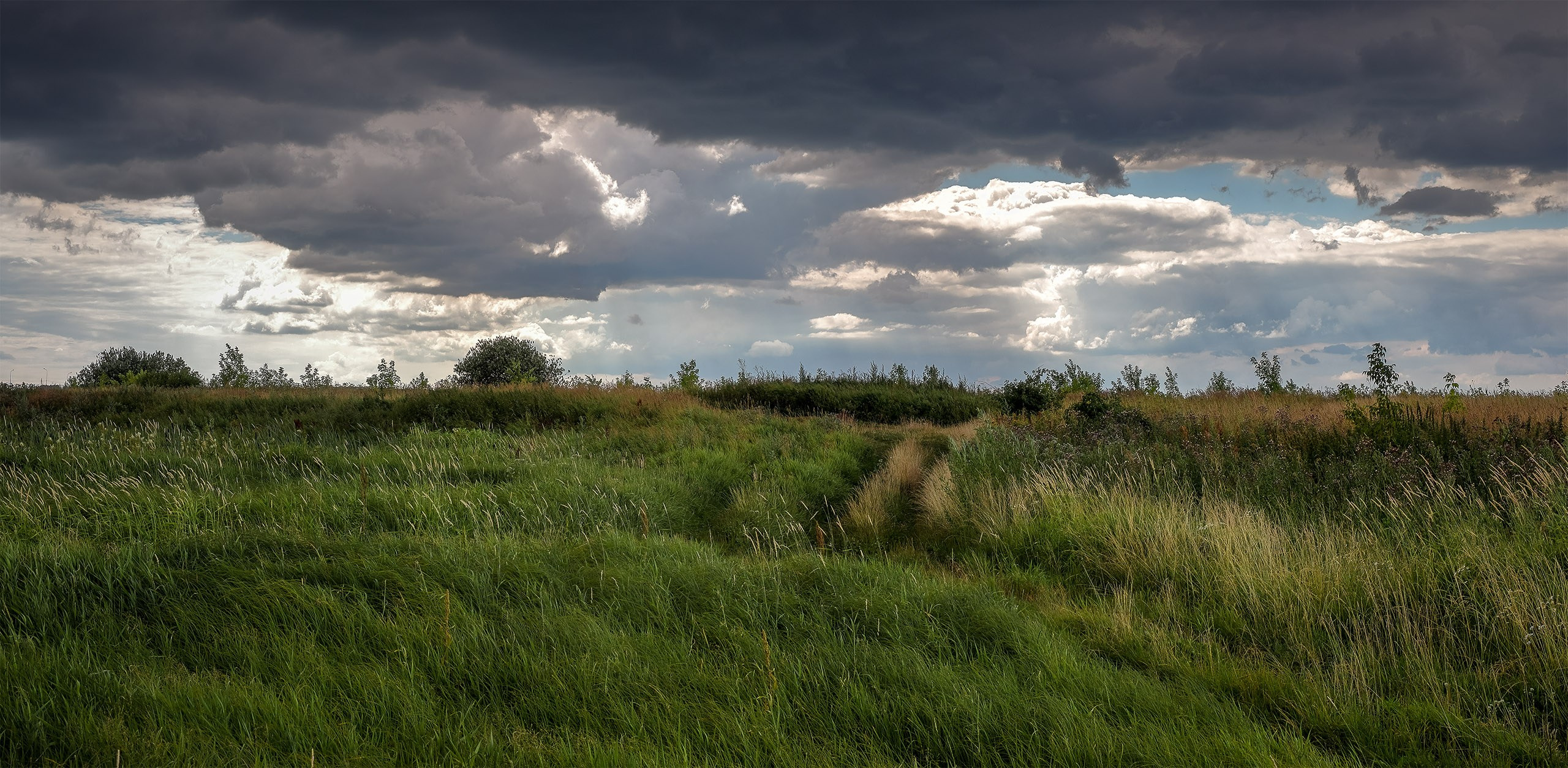 Луг перед грозой летом