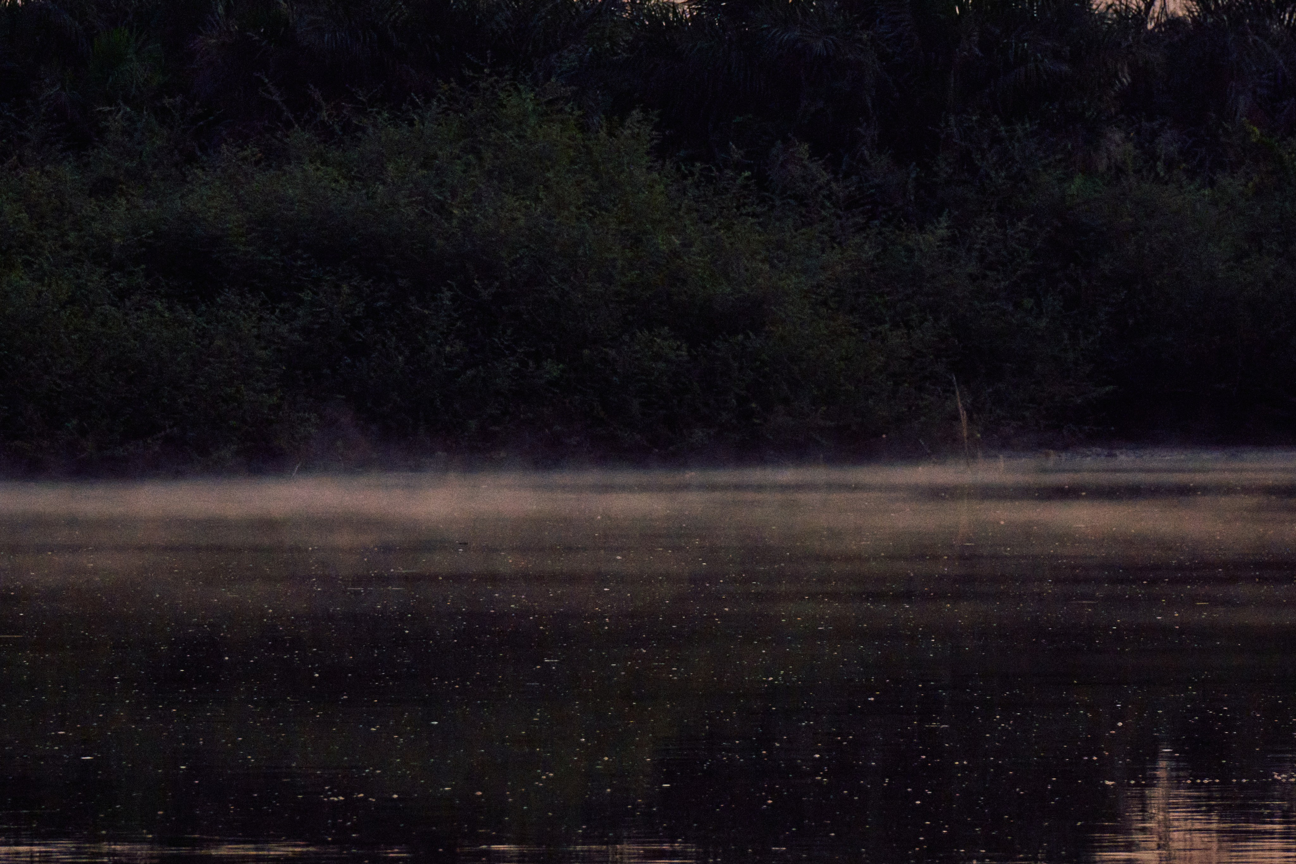 Gambia River. See the moment and catche. commercial and reportage