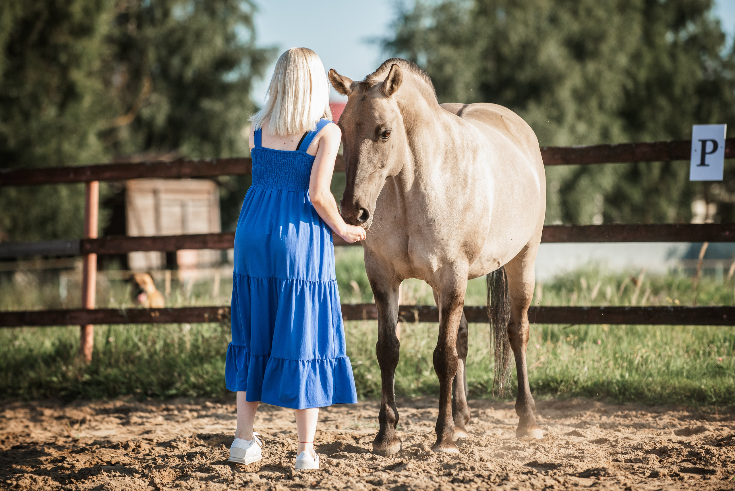 Катя SedlaMSK и Кася с Габи. Конный фотограф Куракина Дарья • Фотосессии с лошадьми