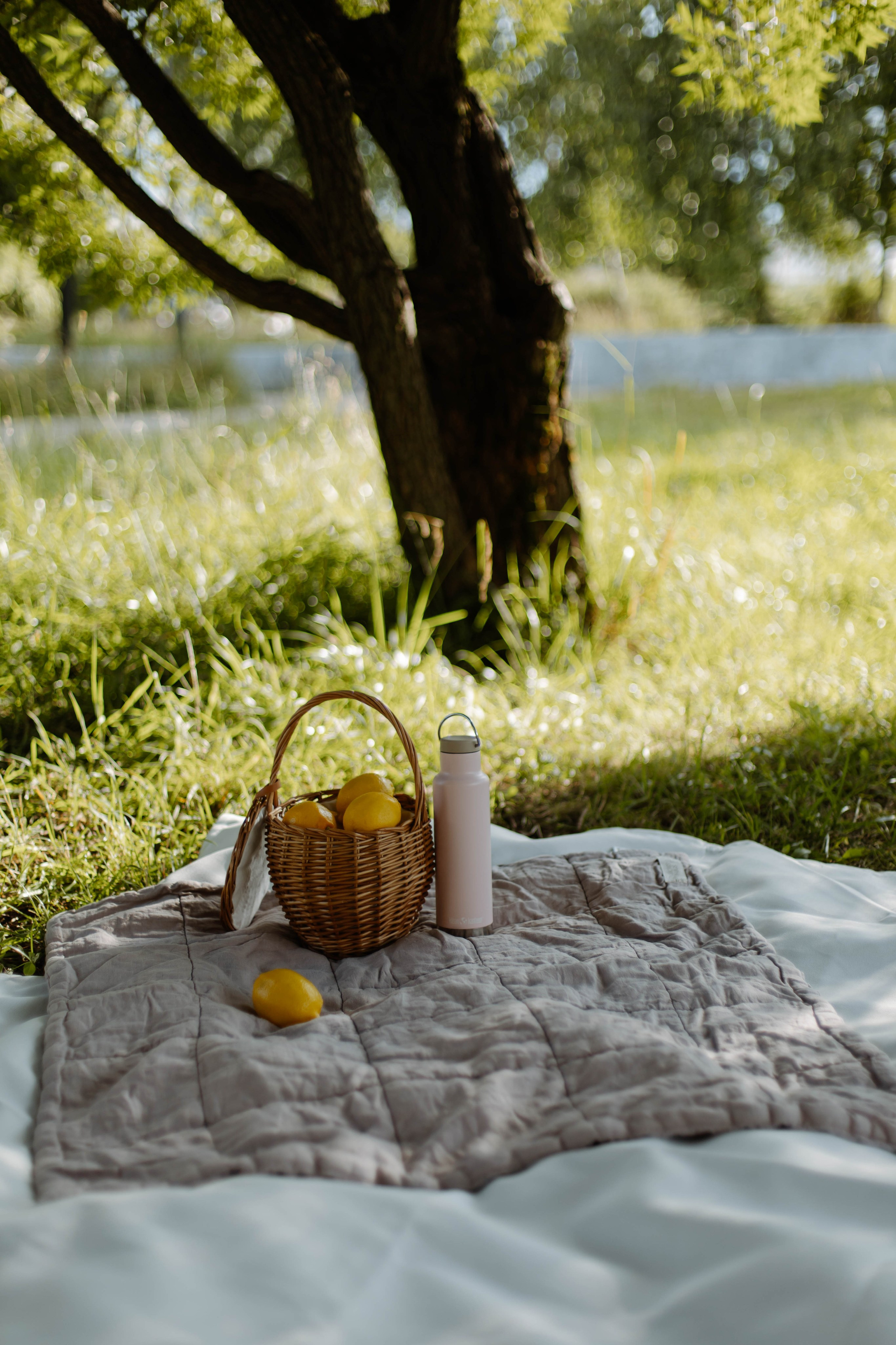 Съемка для Анастасии и Стефана. Фотограф / Свадебный фотограф МОСКВА, КОММУНАРКА, КОВРОВ