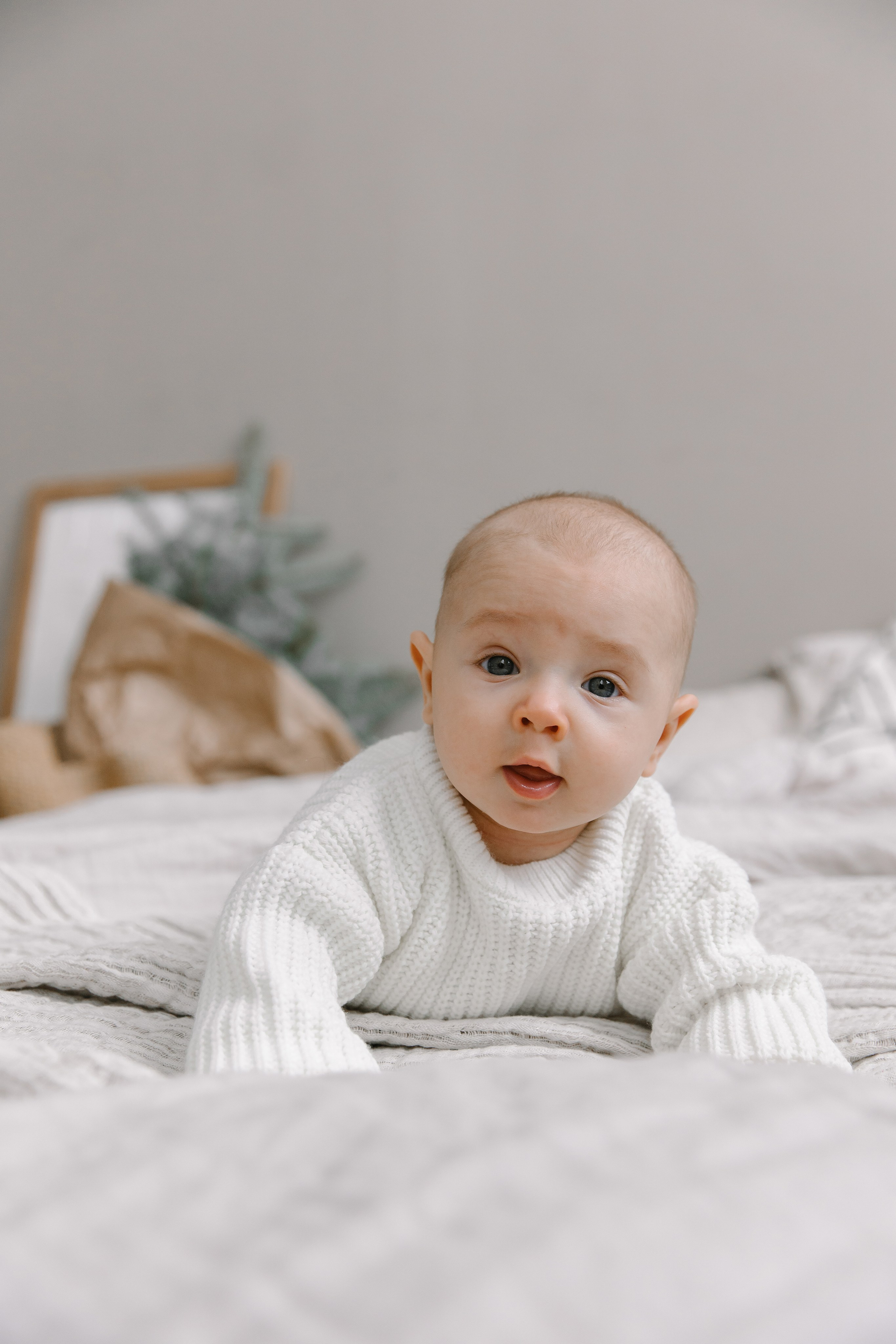 Новый год вчетвером. Фотограф Елена Краснопевцева