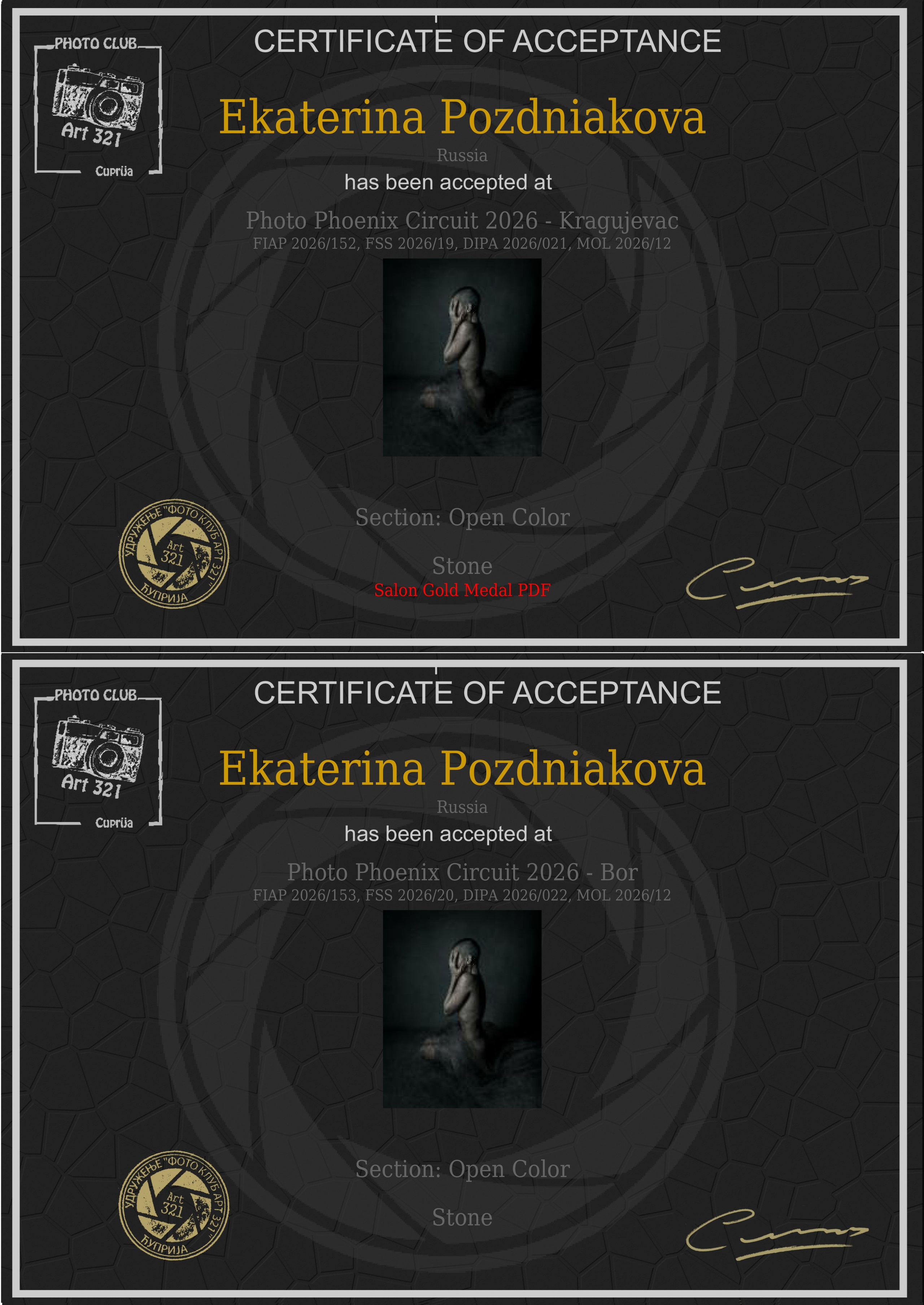 Photo Phoenix Circuit 2026 FIAP. Art Рhotographer Russia/Moscow