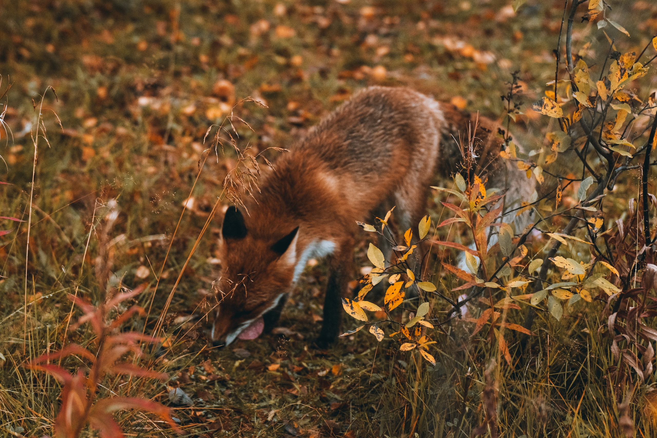 СЕВЕР. Event фотограф Степанова Александра