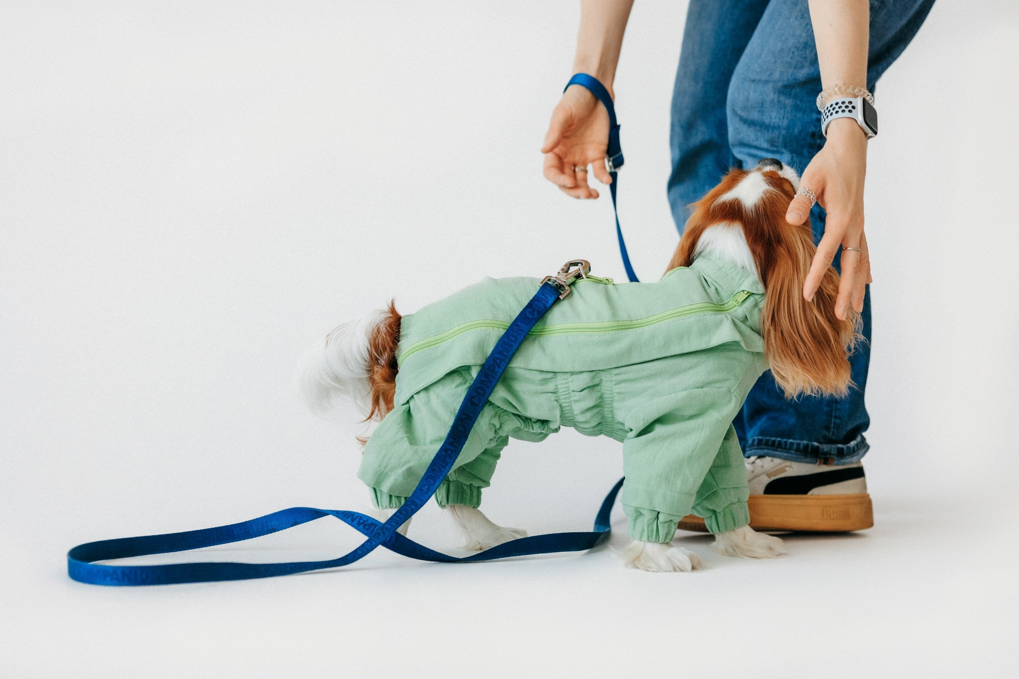 Одежда Lapa`s brand. Фотограф-анималист Елена Радченко, Москва