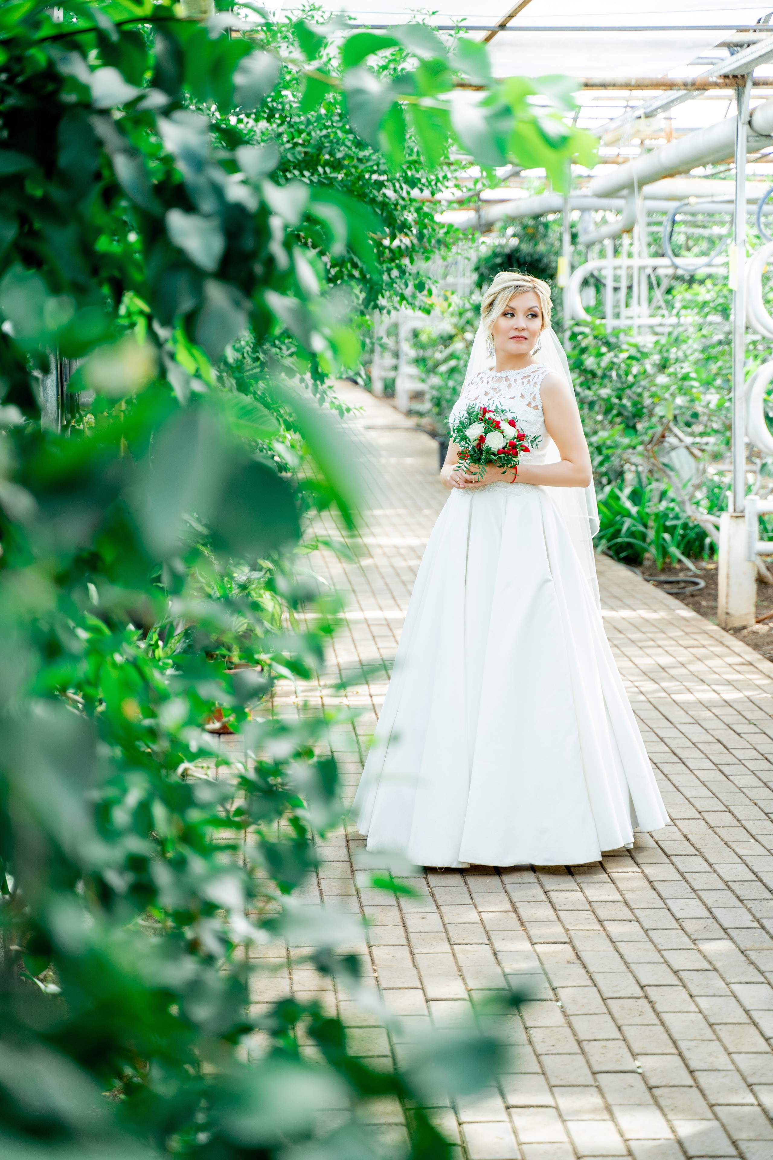 В Лимонарие. Свадебный и репортажный фотограф в Уфе| Осетрова Ольга