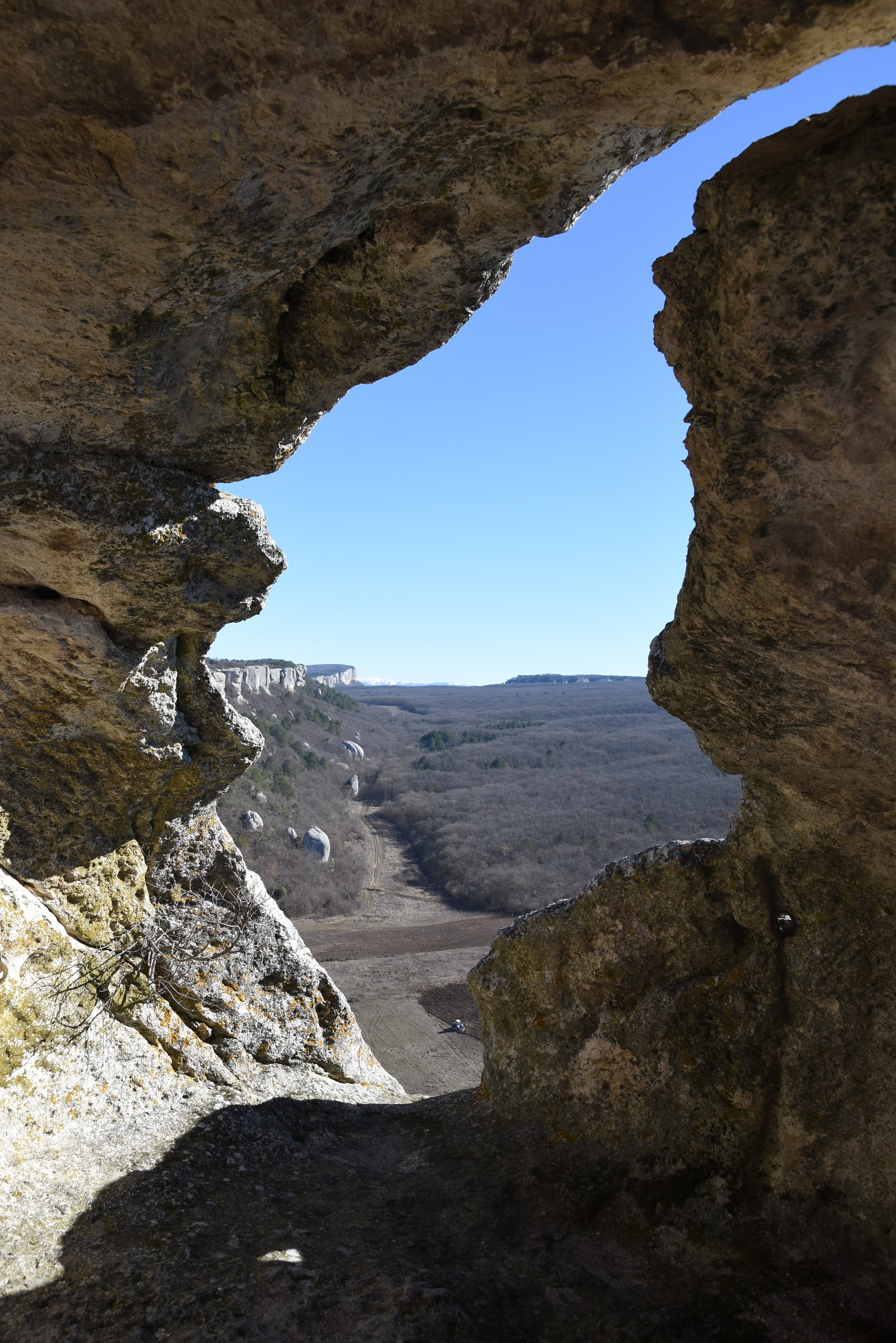 И это все о нем. Созерцатель. фотографирую что тронуло и впечатлило. самарская область