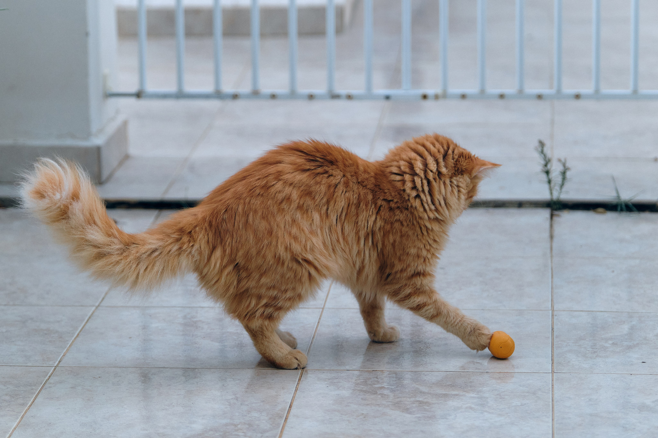 Cyprus > 2023 / kat. Aleksandr Kobtsev