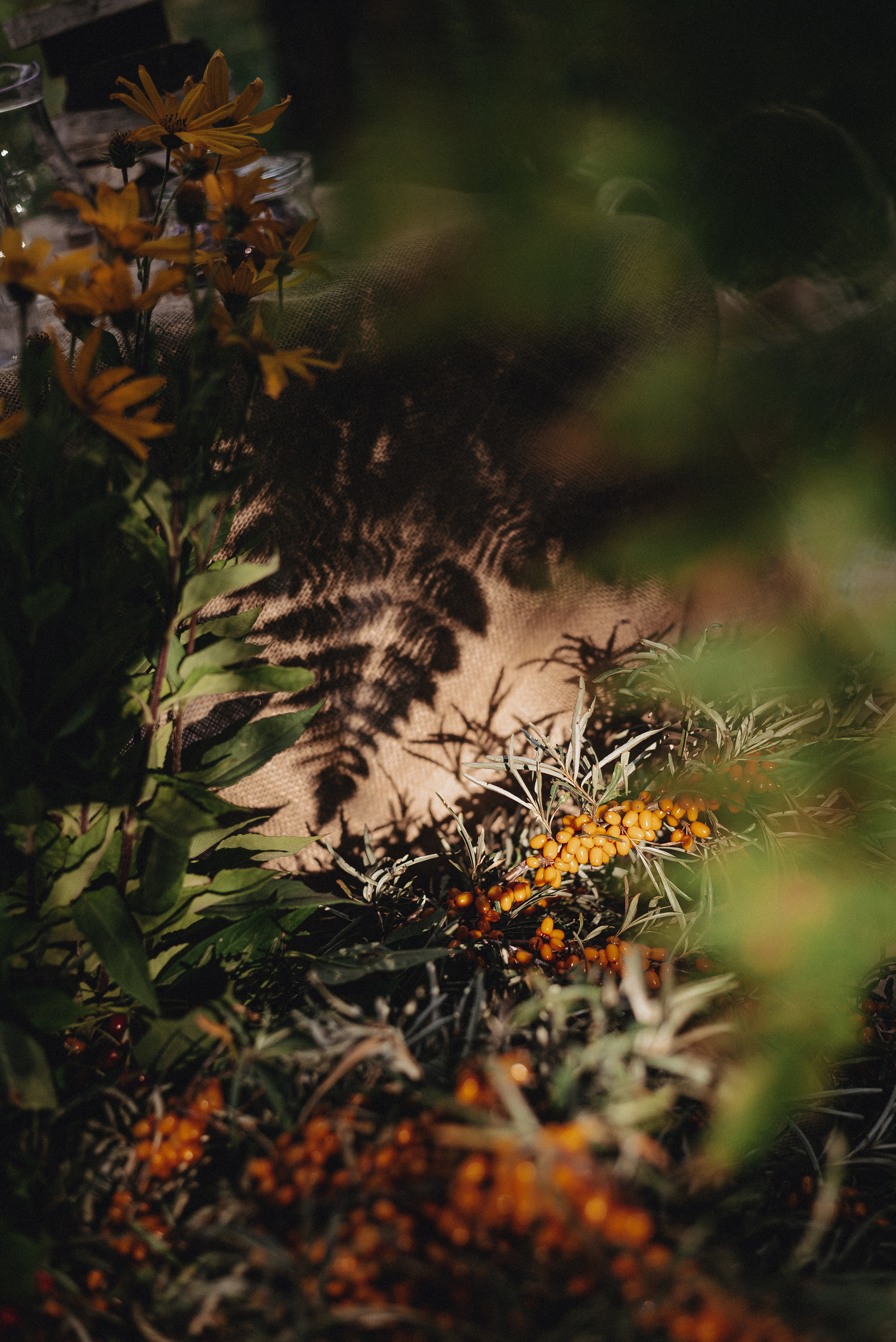 «Таёжная кладовая». Екатерина Курбанова. Женский фотограф