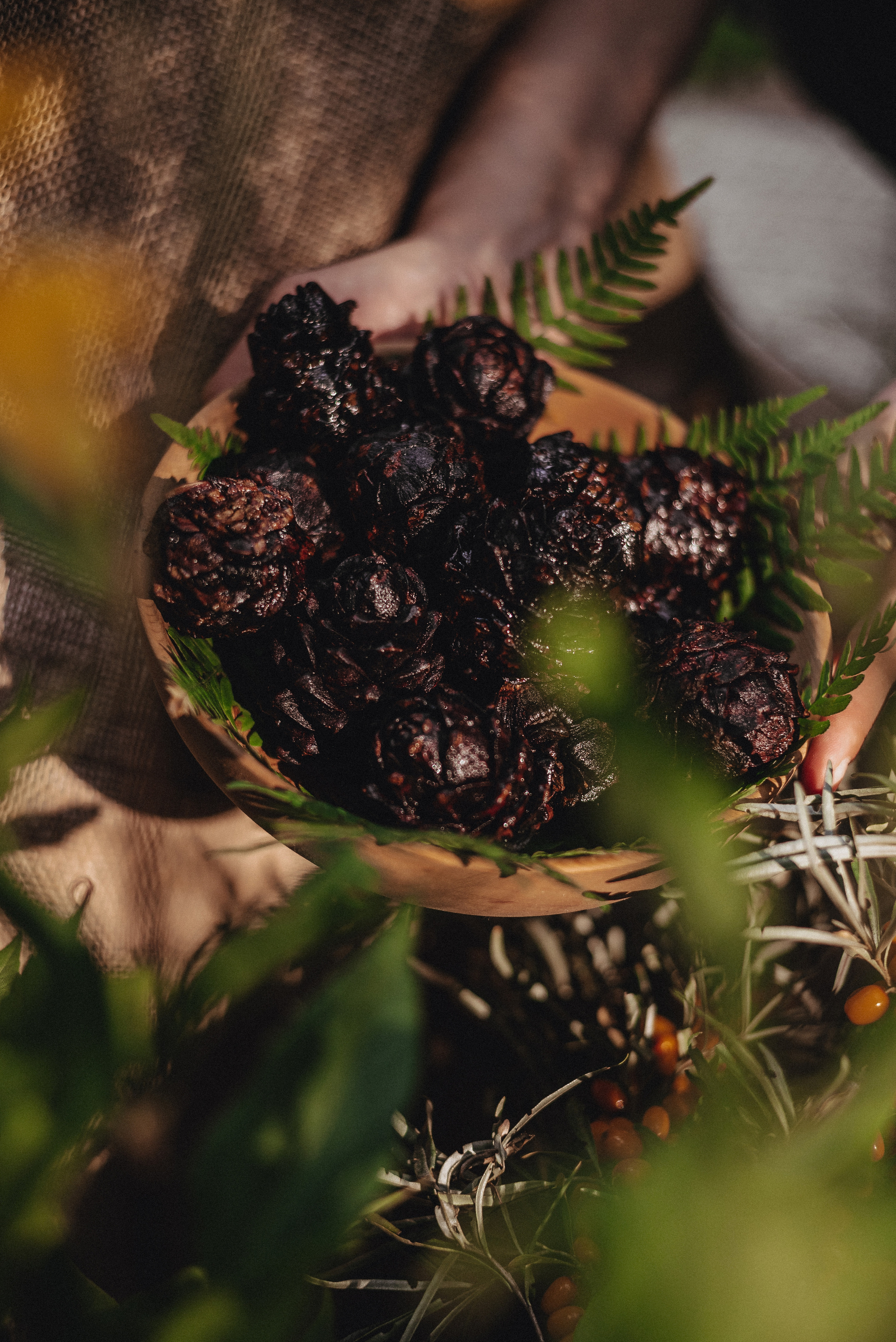 «Таёжная кладовая». Екатерина Курбанова. Женский фотограф